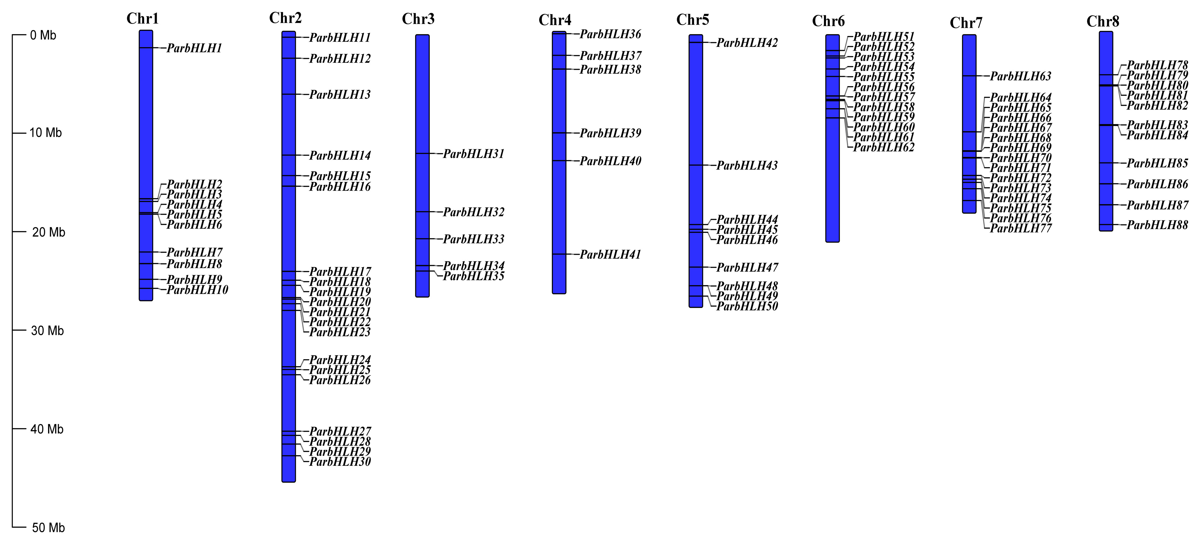 Plants 12 02756 g007