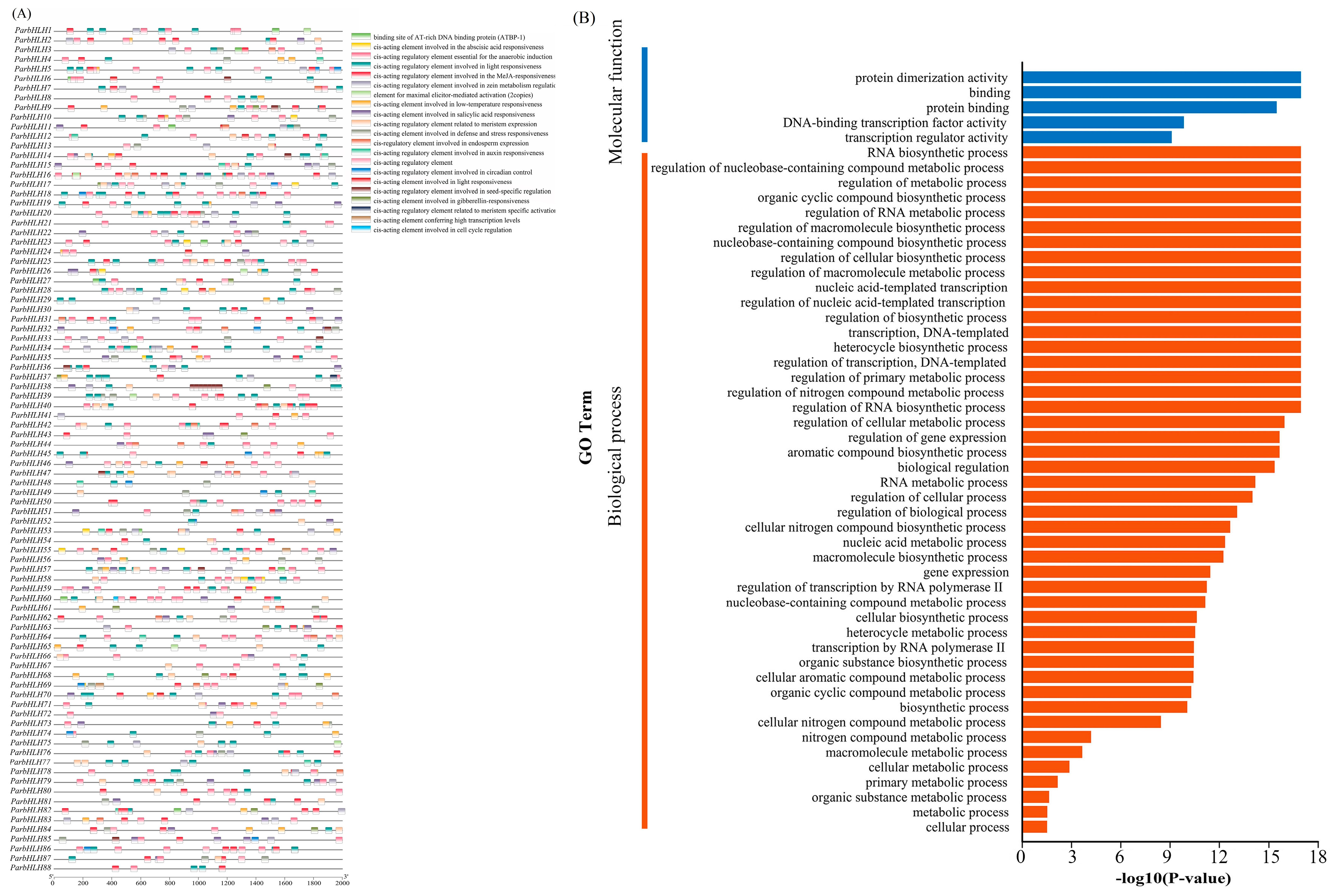 Plants 12 02756 g008