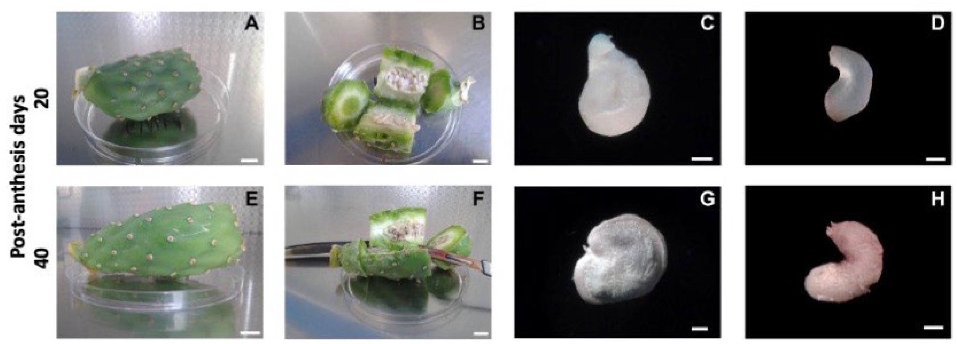 Plants 12 02758 g002