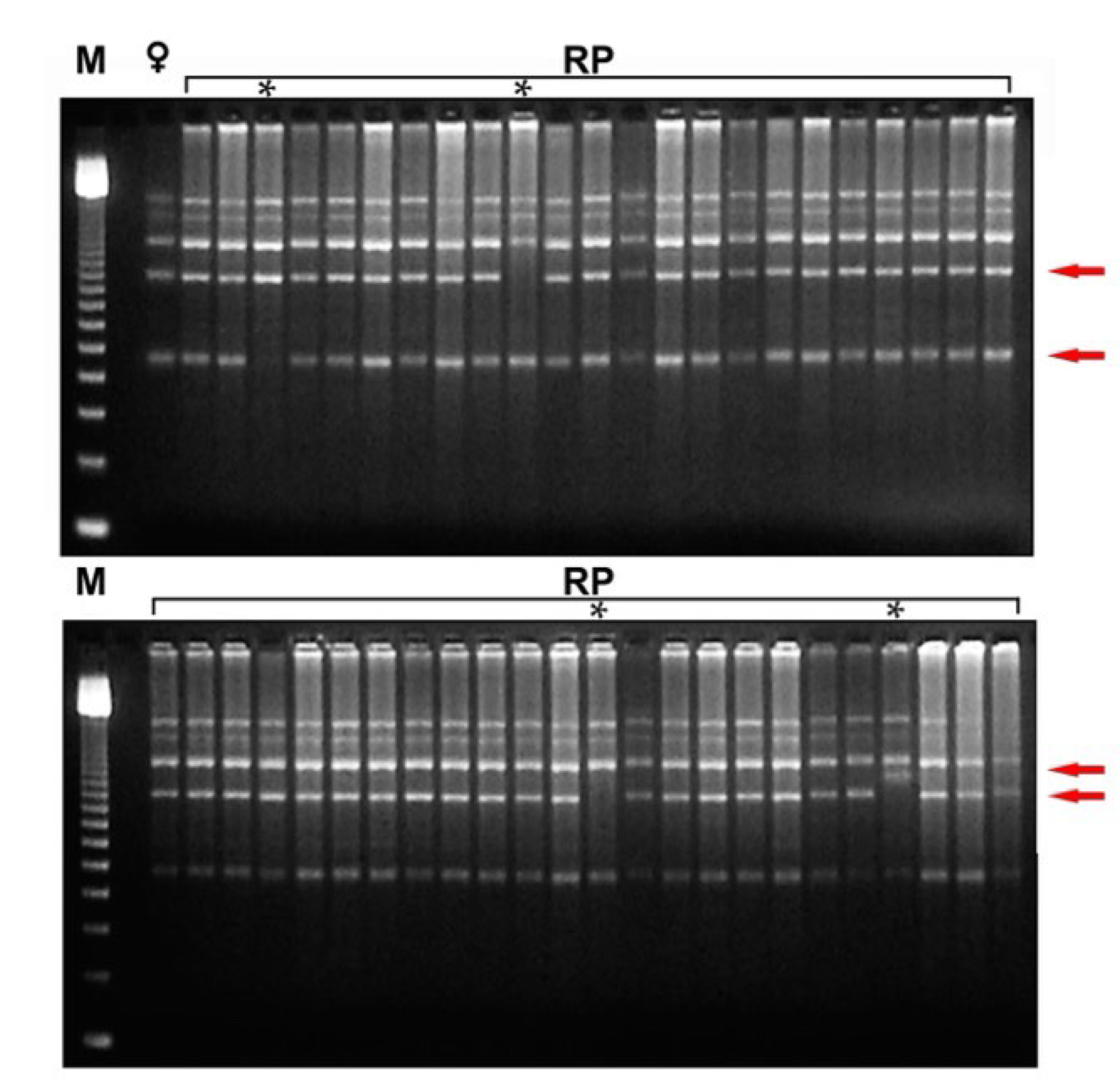 Plants 12 02758 g008