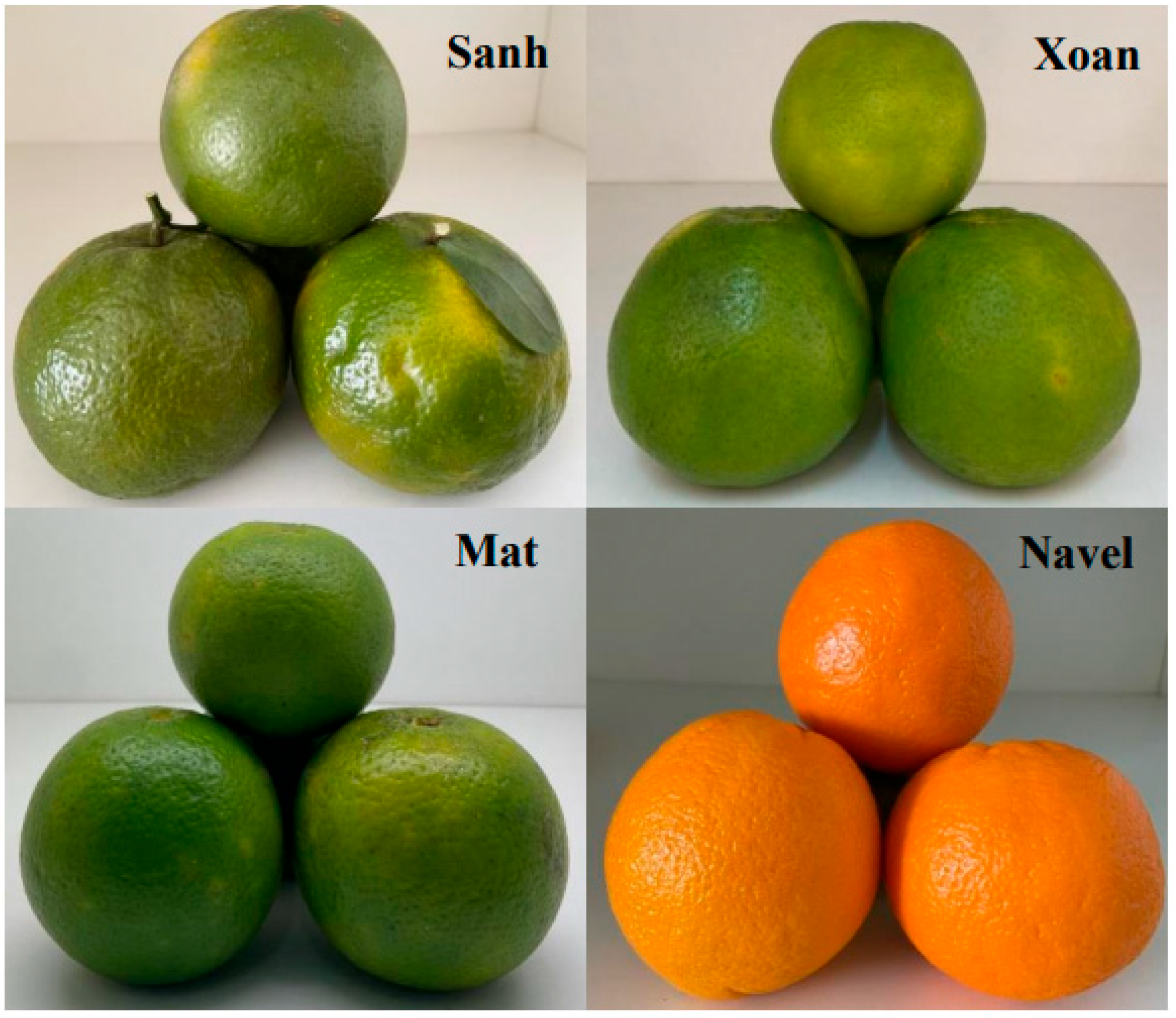 Plants 12 02761 g001