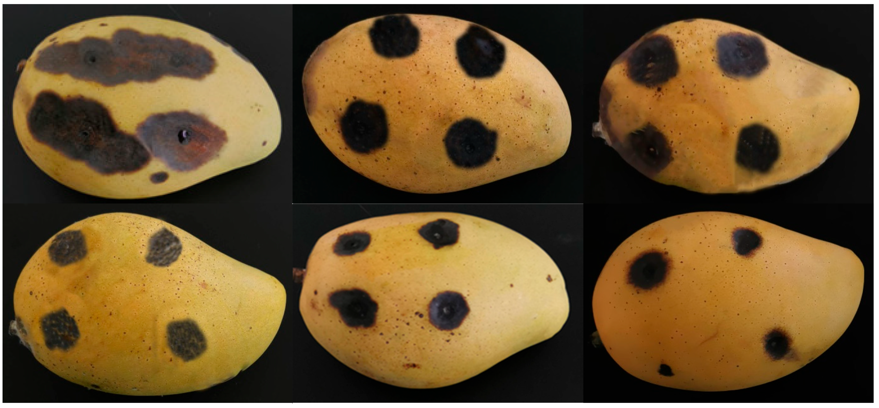 Plants 12 02761 g003