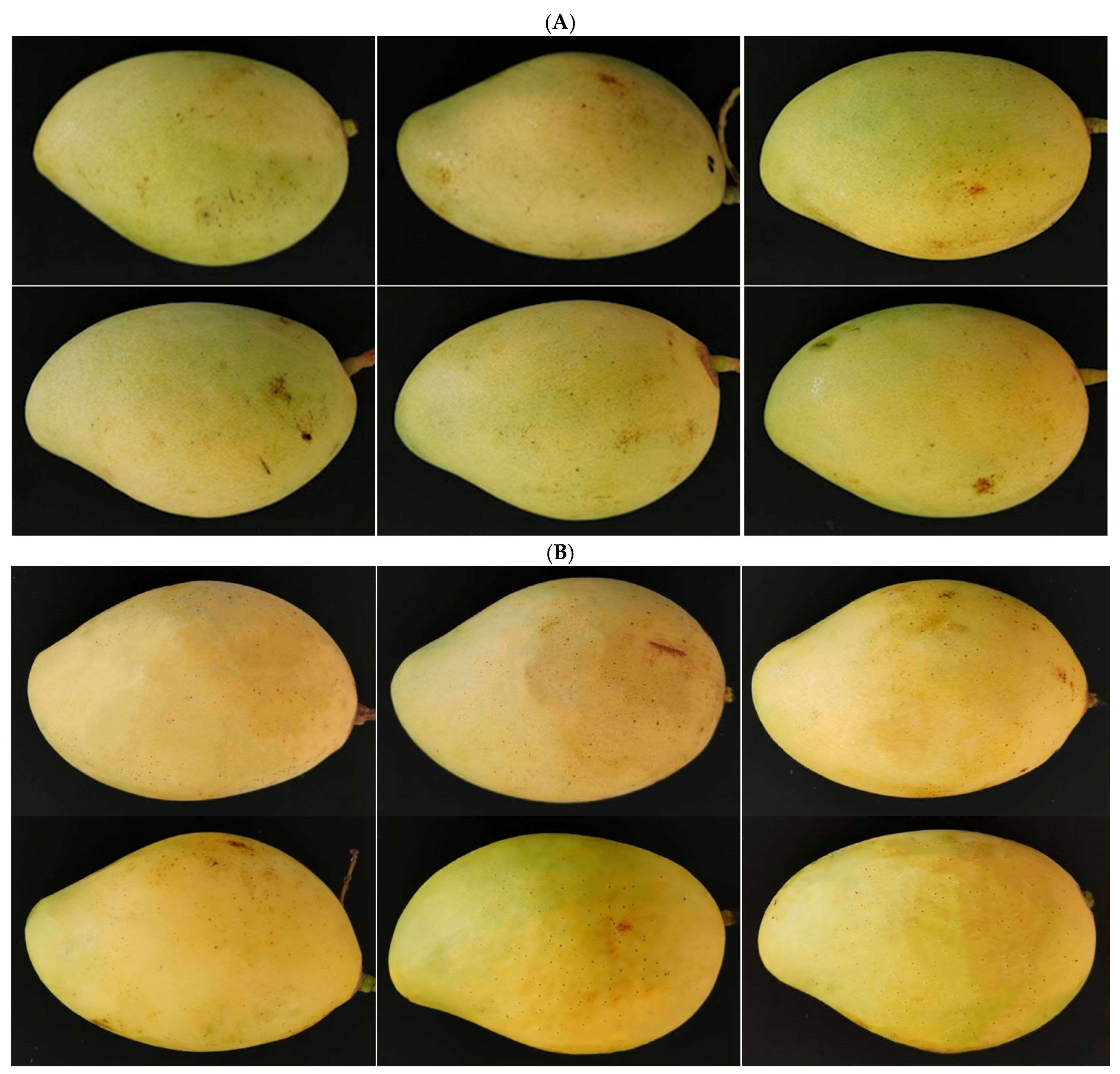 Plants 12 02761 g004