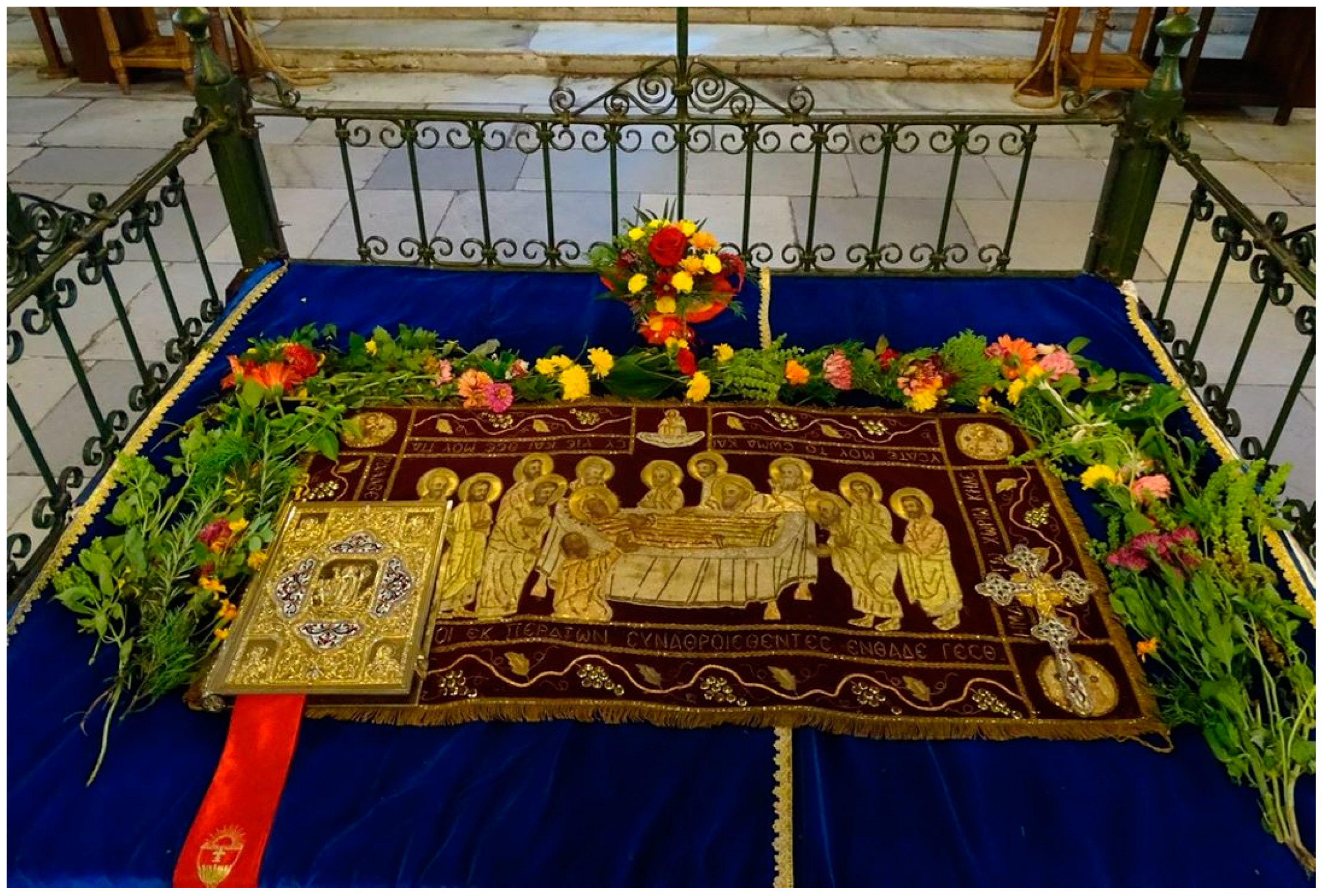 Plants 12 02771 g001