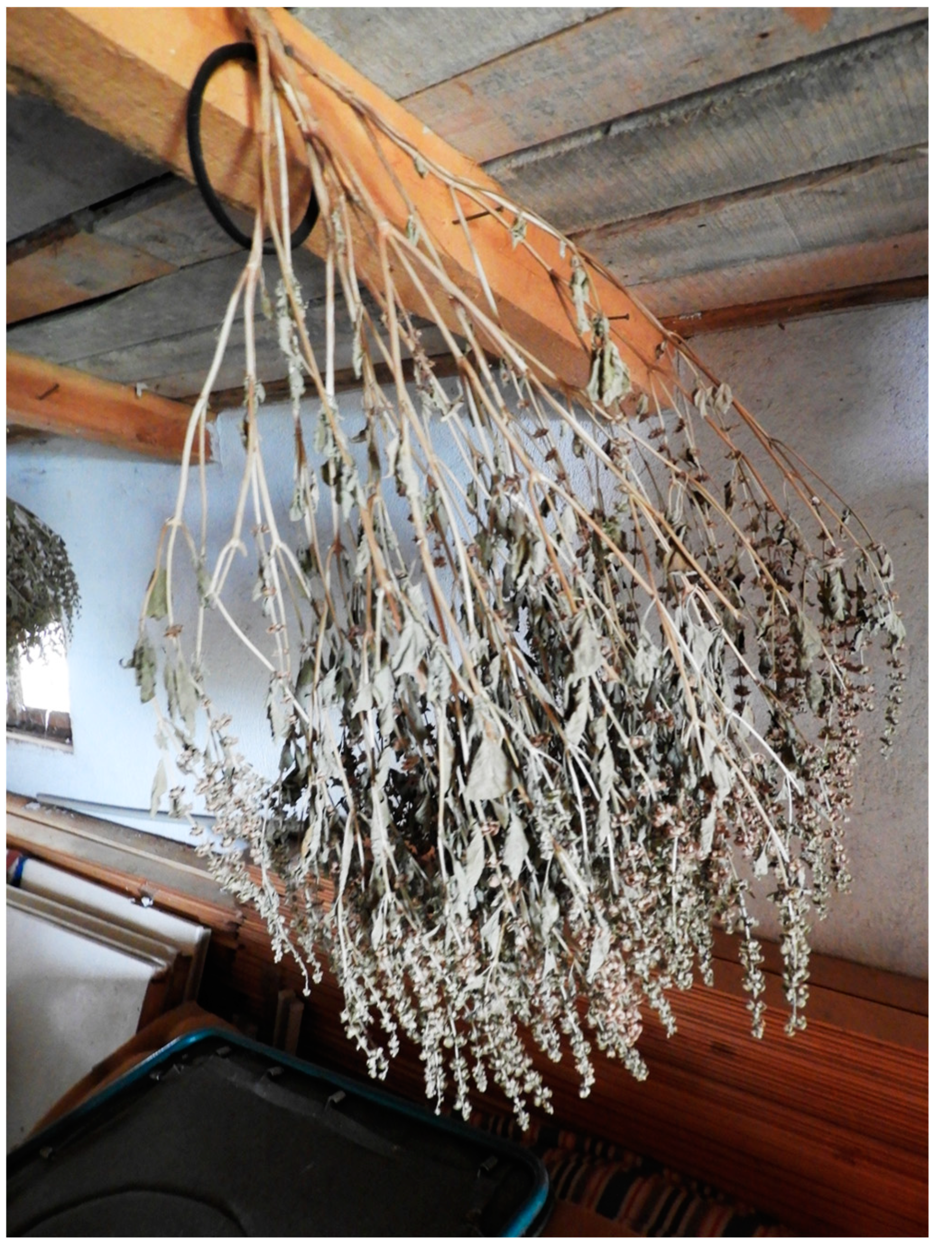 Plants 12 02771 g009