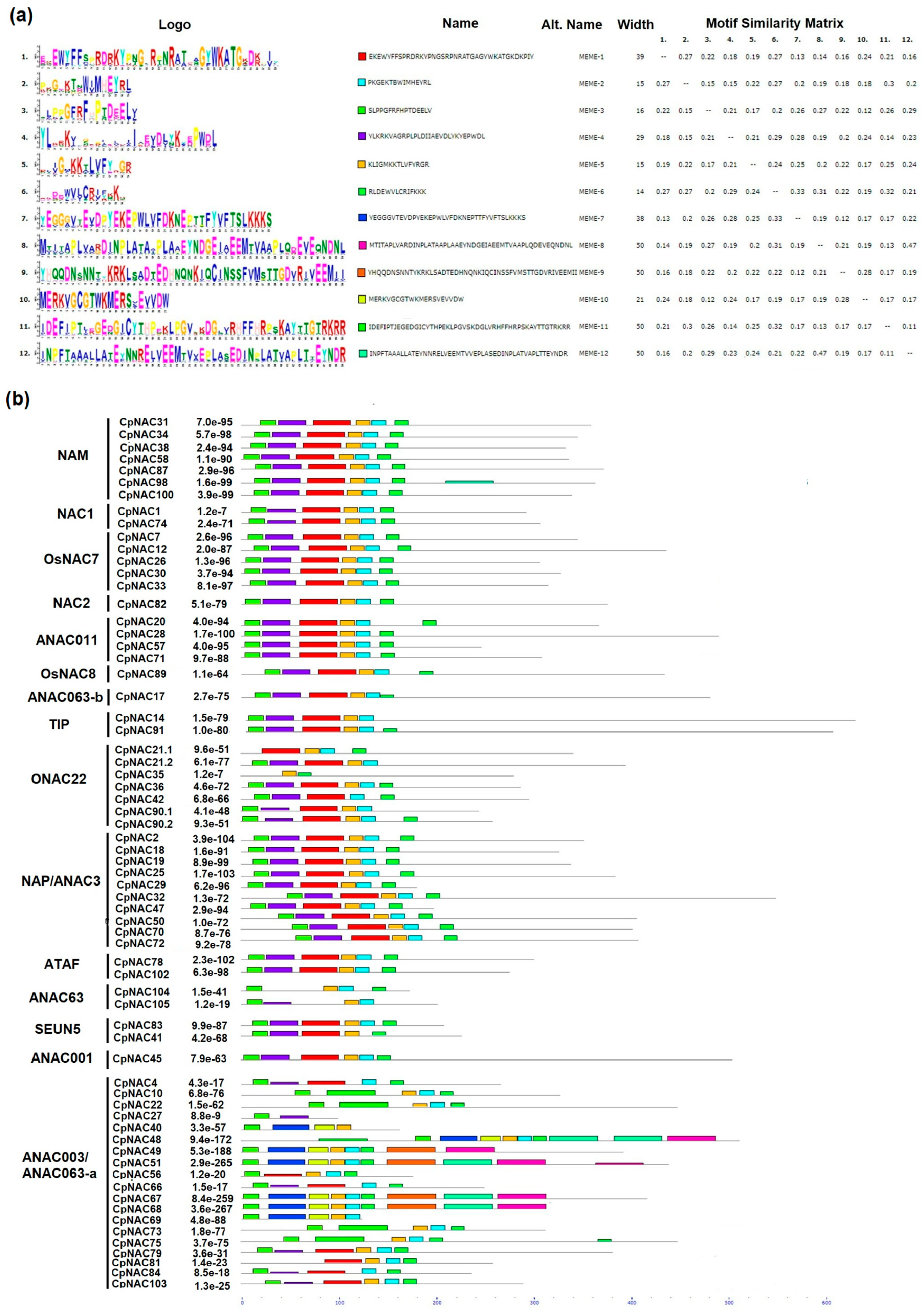 Plants 12 02775 g004