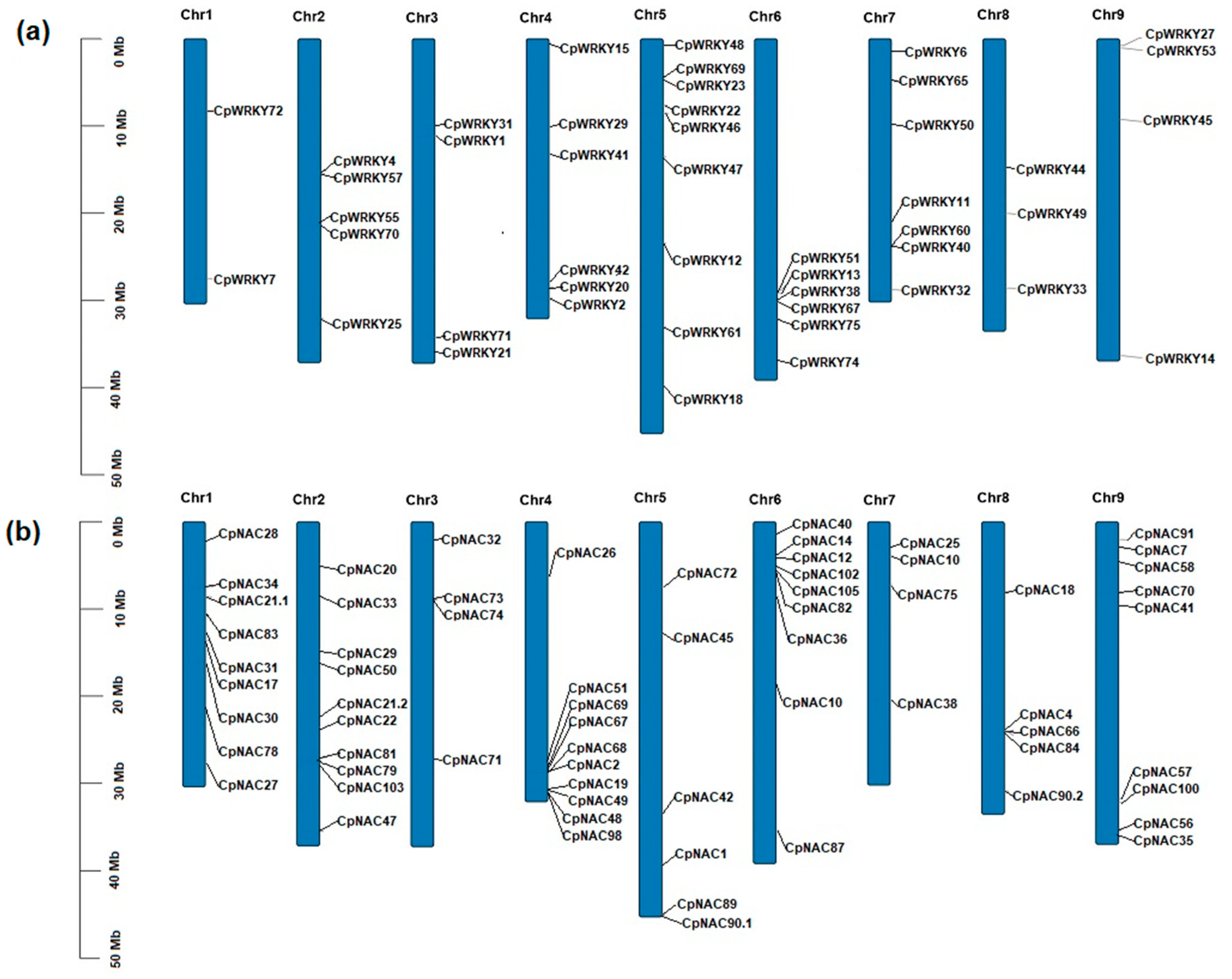 Plants 12 02775 g006