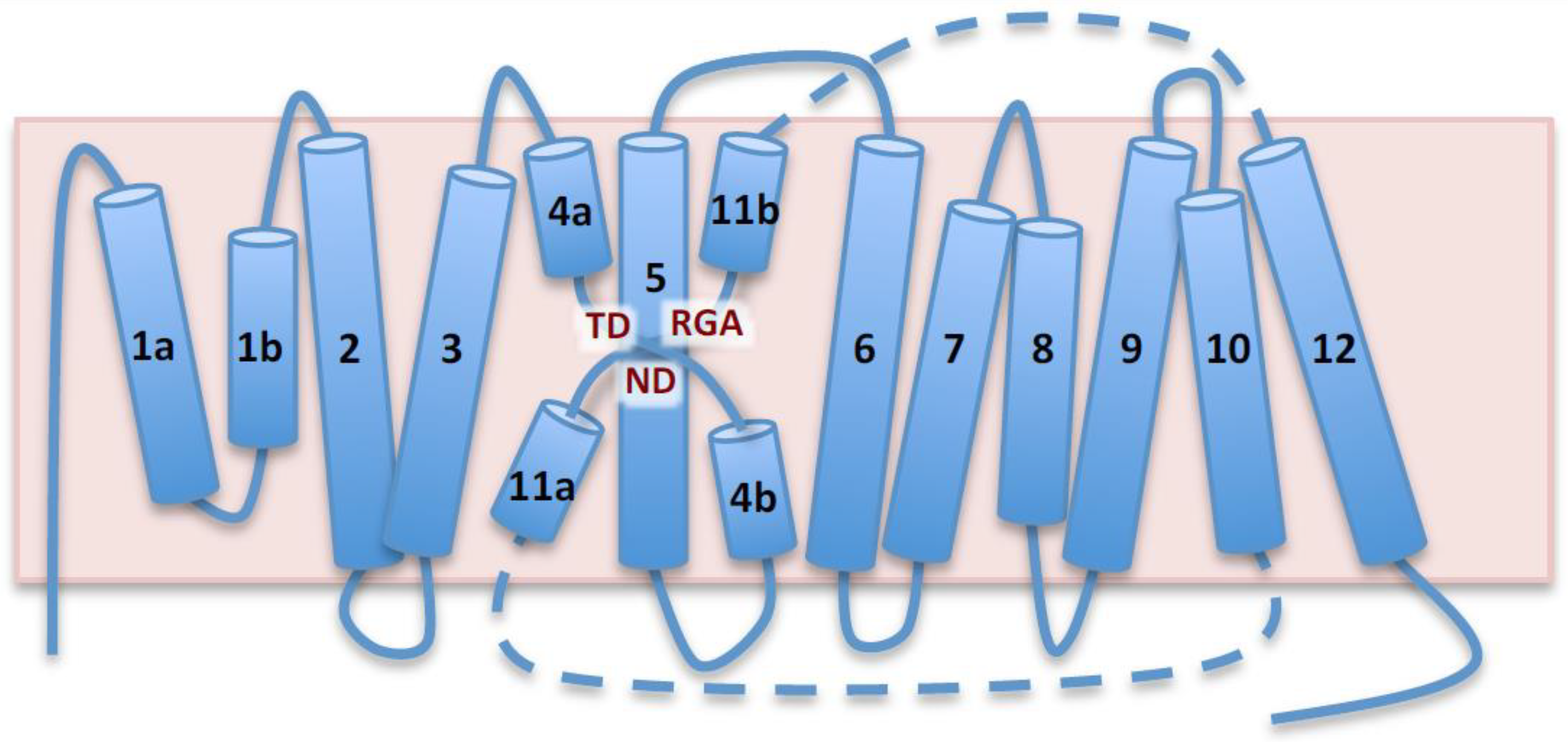 Plants 12 02778 g001