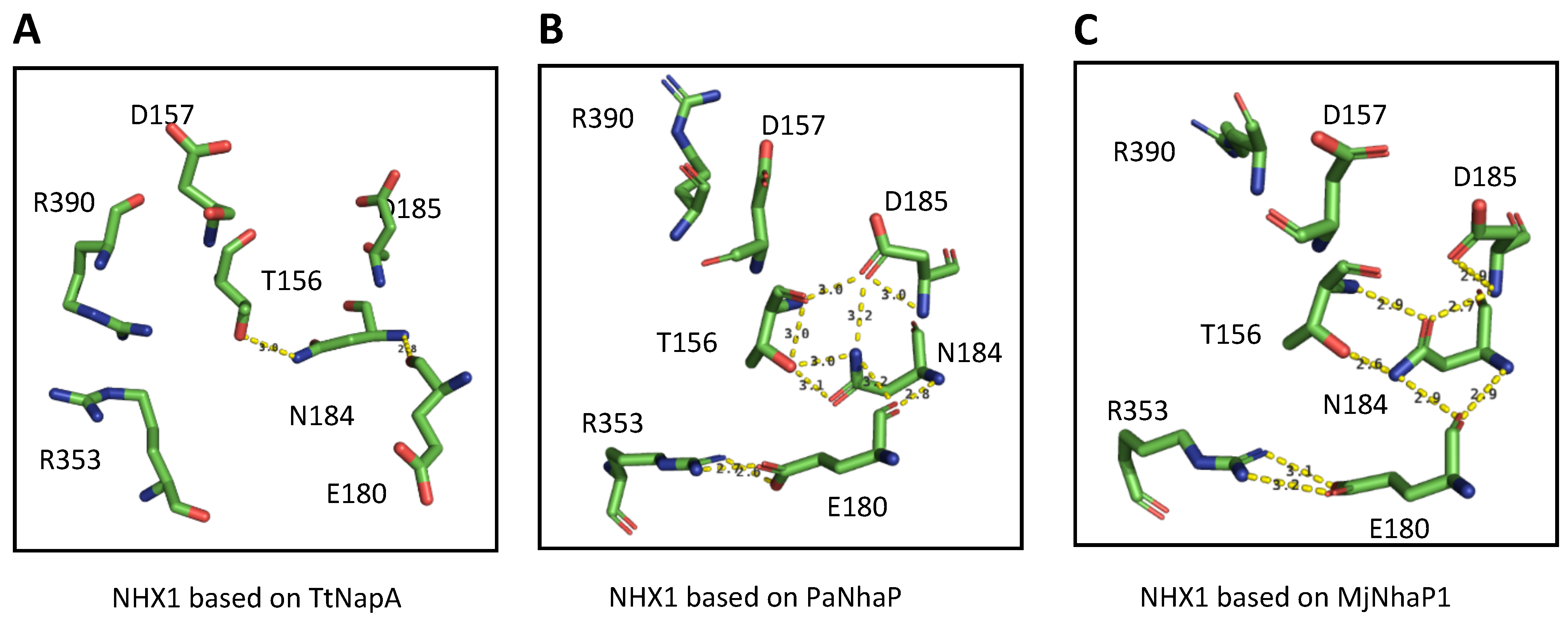 Plants 12 02778 g005