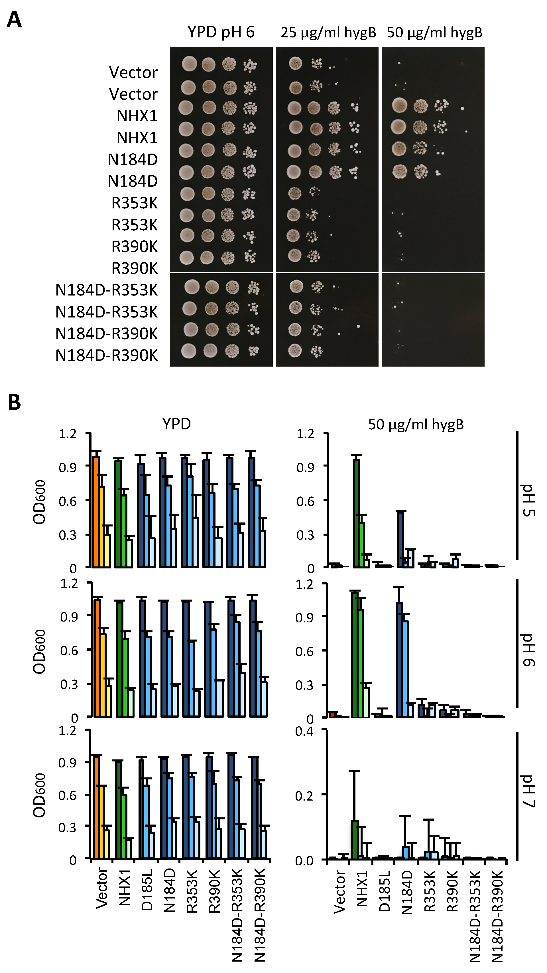 Plants 12 02778 g007