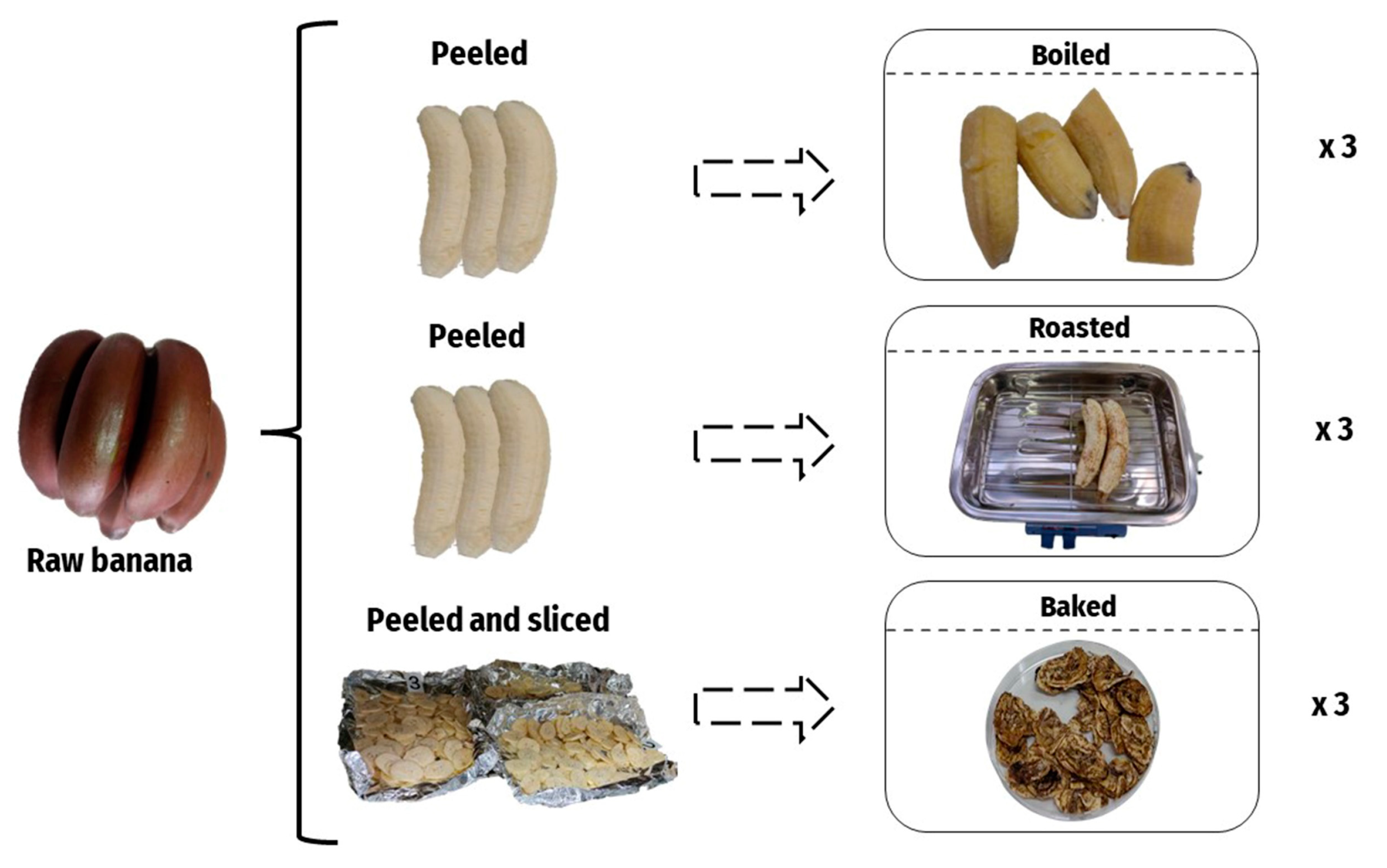 Plants 12 02780 g005