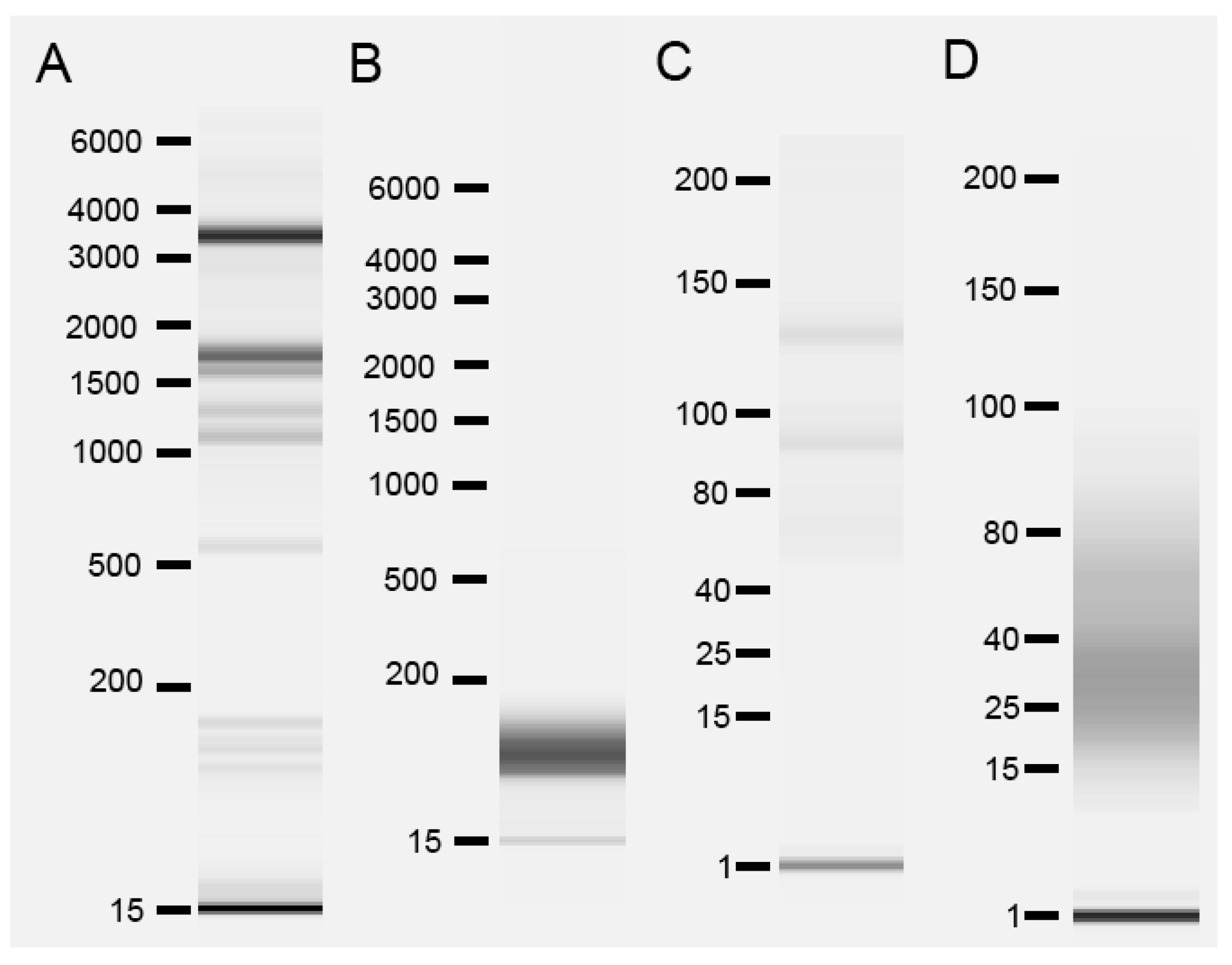 Plants 12 02782 g001 Plants 12 02782 g001