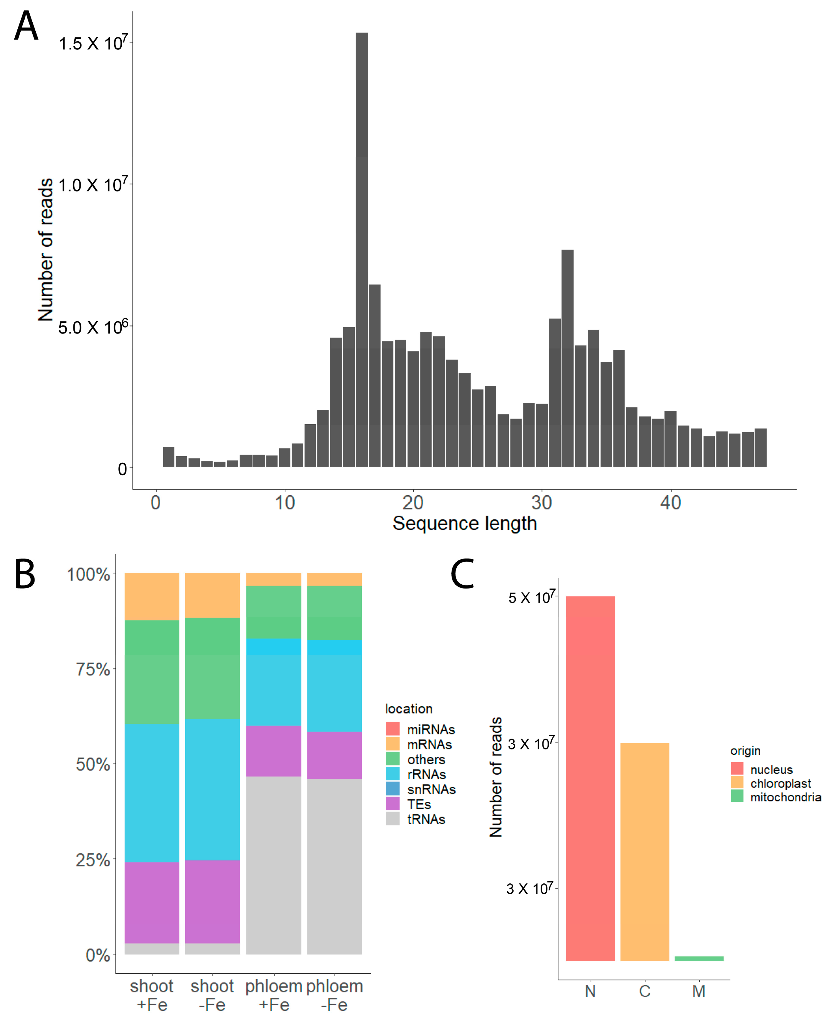 Plants 12 02782 g002 Plants 12 02782 g002