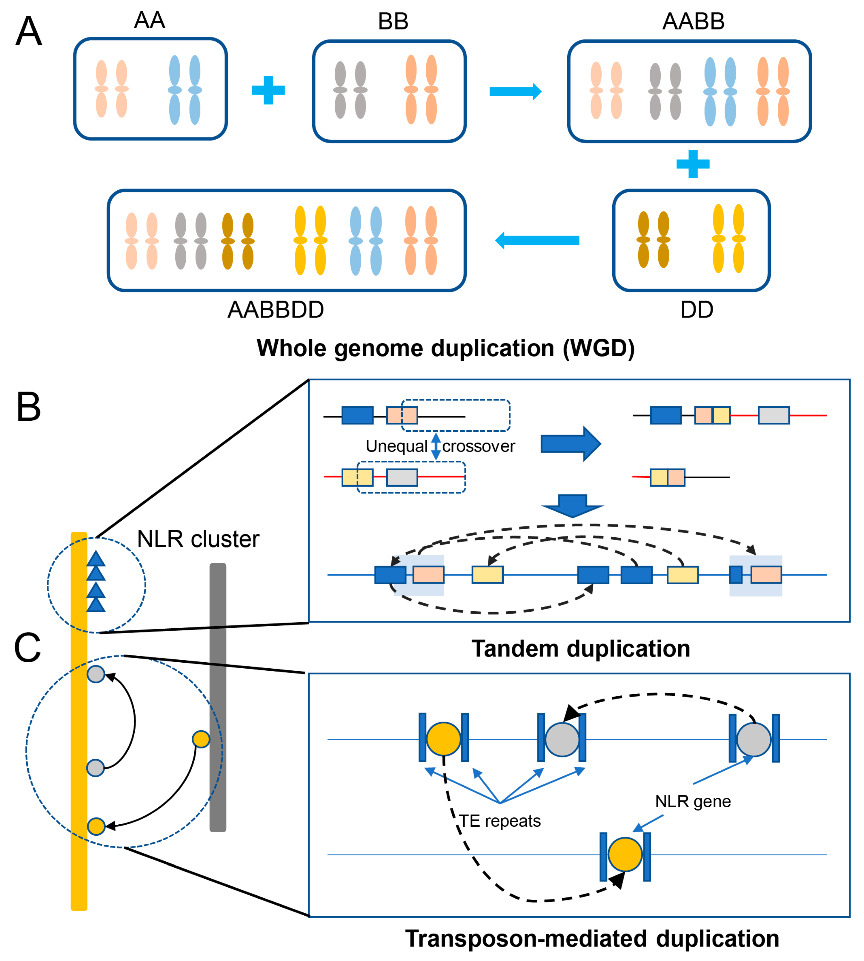 Plants 12 02794 g002 Plants 12 02794 g002