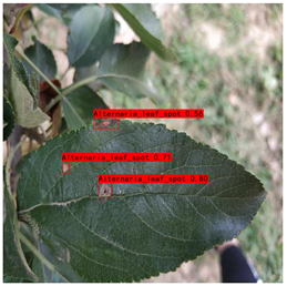 Plants 12 02806 i007 Plants 12 02806 i007