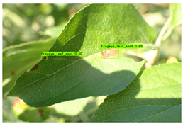 Plants 12 02806 i008 Plants 12 02806 i008