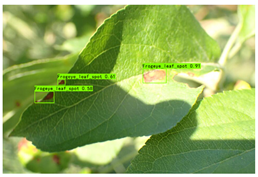 Plants 12 02806 i009 Plants 12 02806 i009