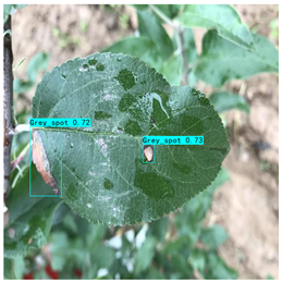 Plants 12 02806 i010 Plants 12 02806 i010