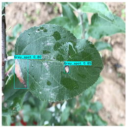 Plants 12 02806 i011 Plants 12 02806 i011