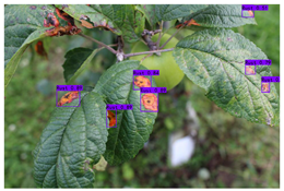 Plants 12 02806 i012 Plants 12 02806 i012