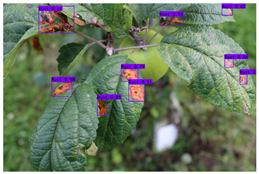 Plants 12 02806 i013 Plants 12 02806 i013