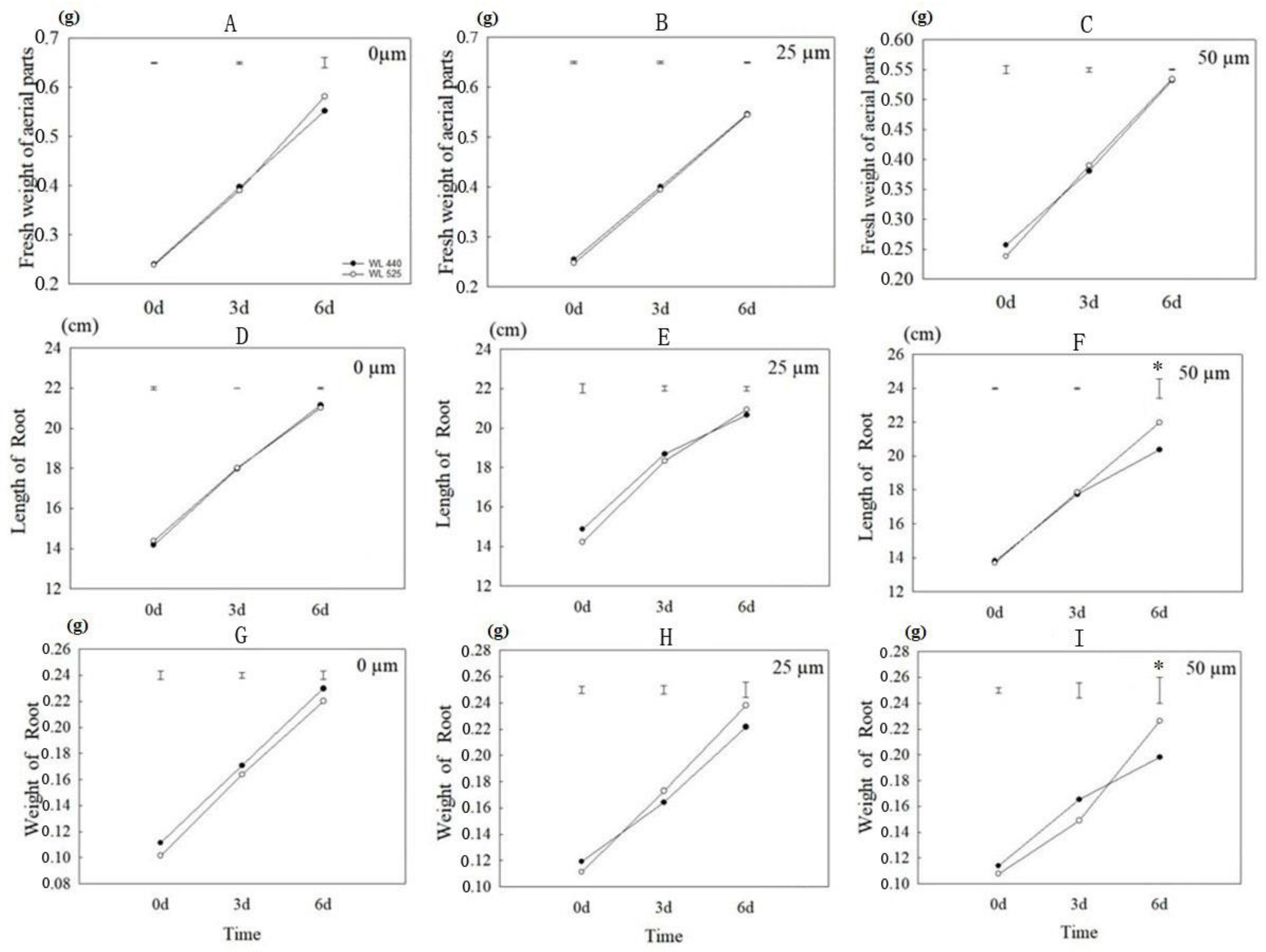 Plants 12 02808 g001