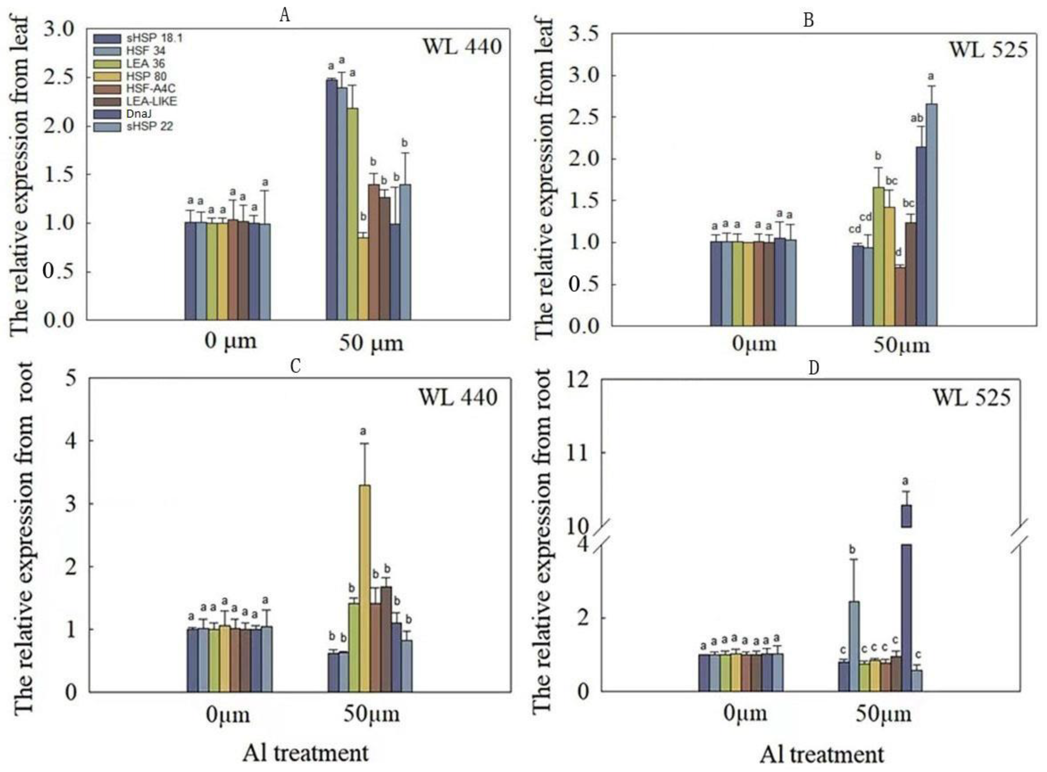 Plants 12 02808 g002