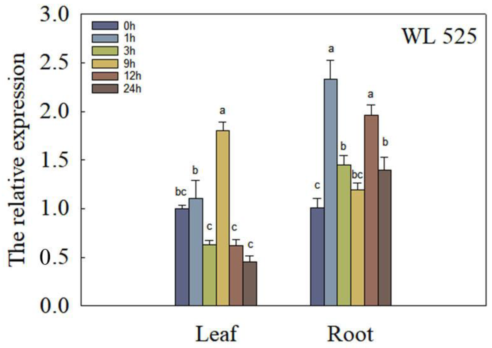 Plants 12 02808 g003