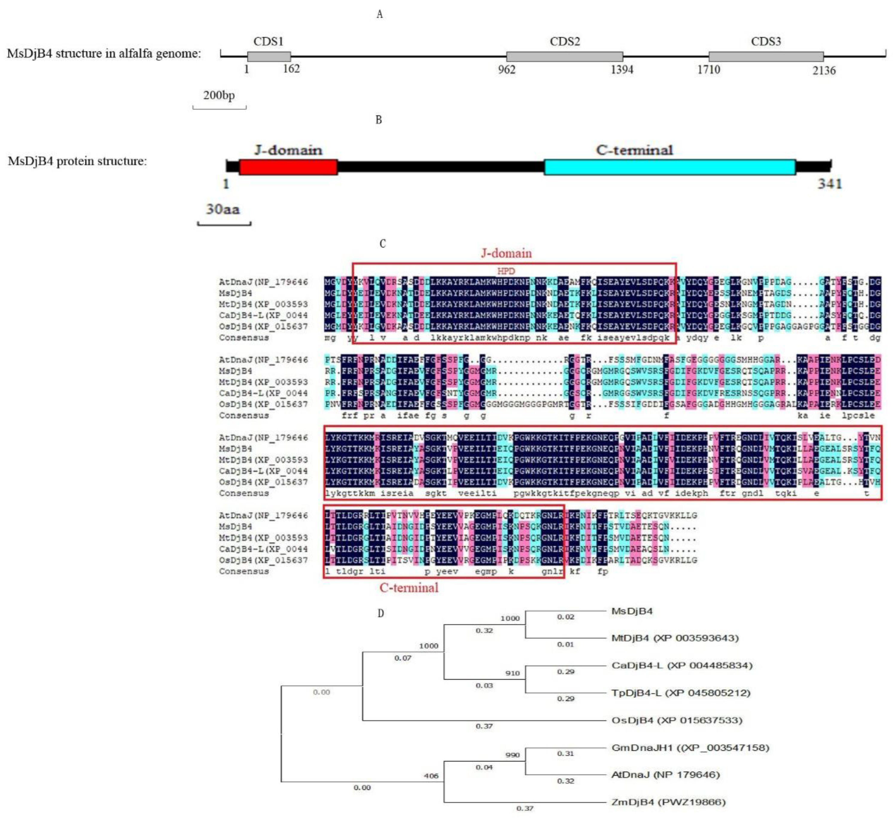 Plants 12 02808 g004