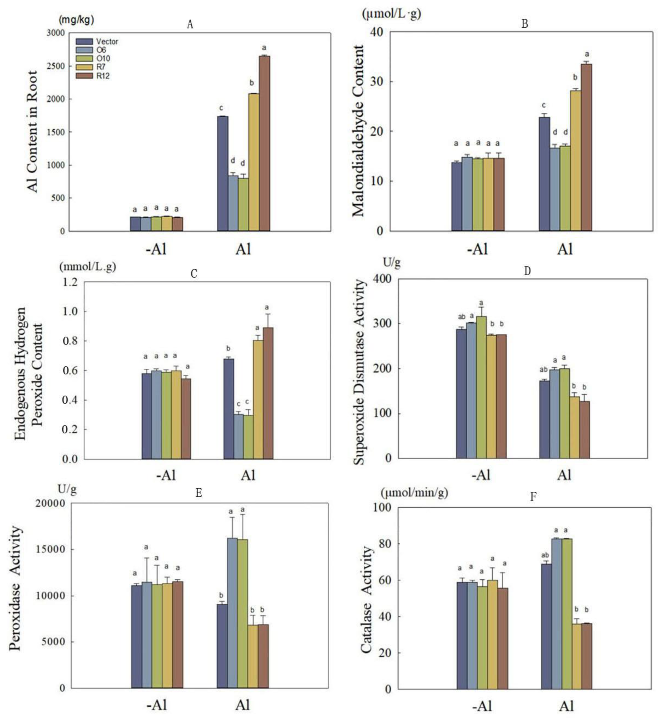 Plants 12 02808 g007