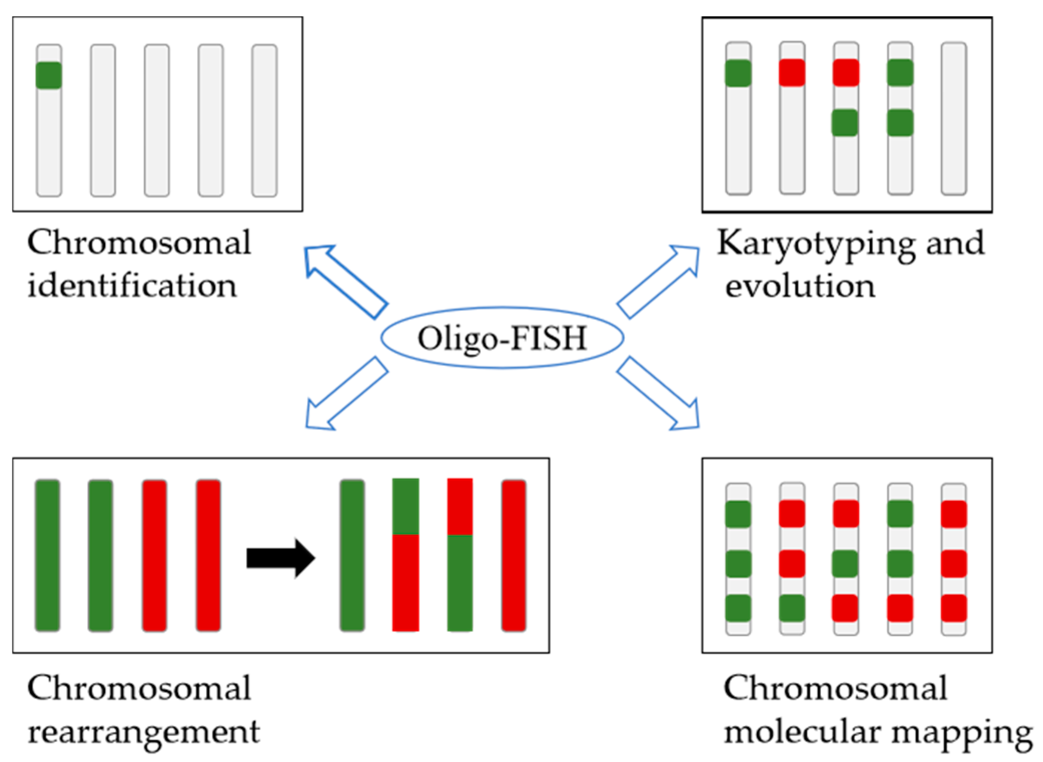 Plants 12 02816 g003 Plants 12 02816 g003