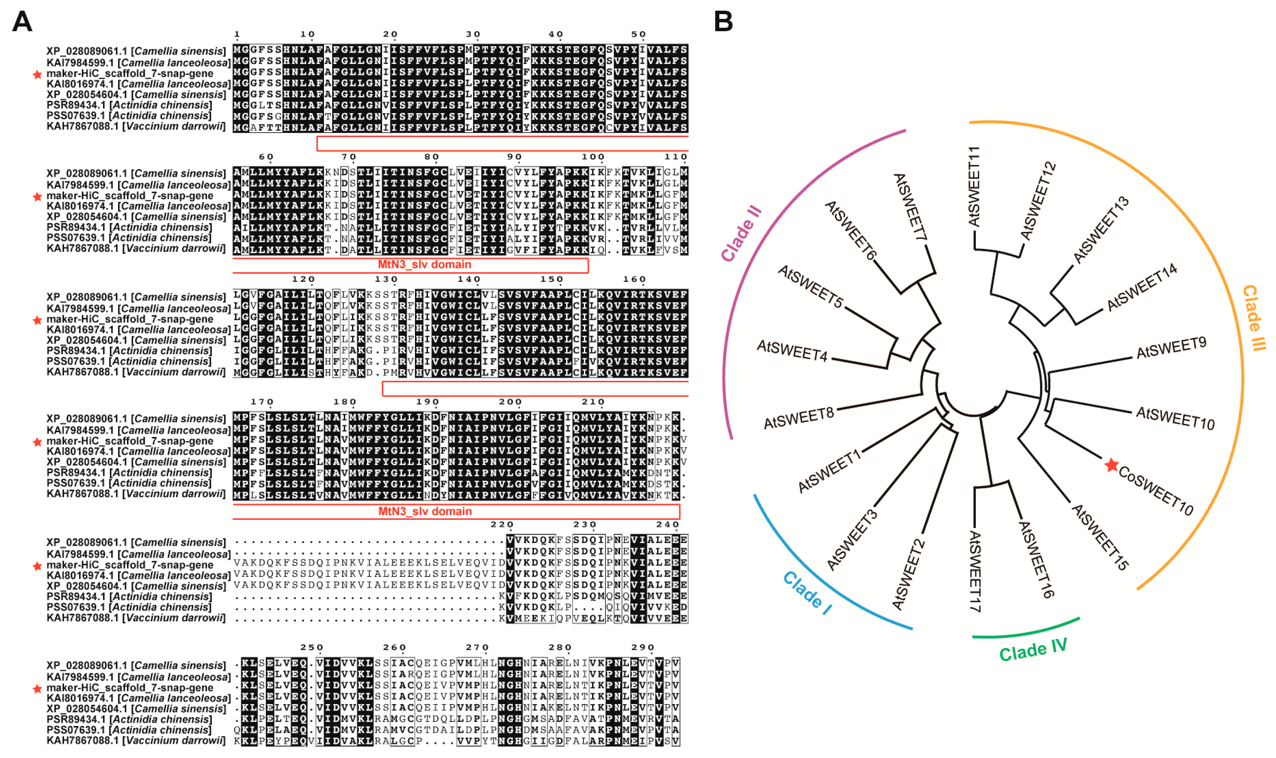 Plants 12 02818 g001