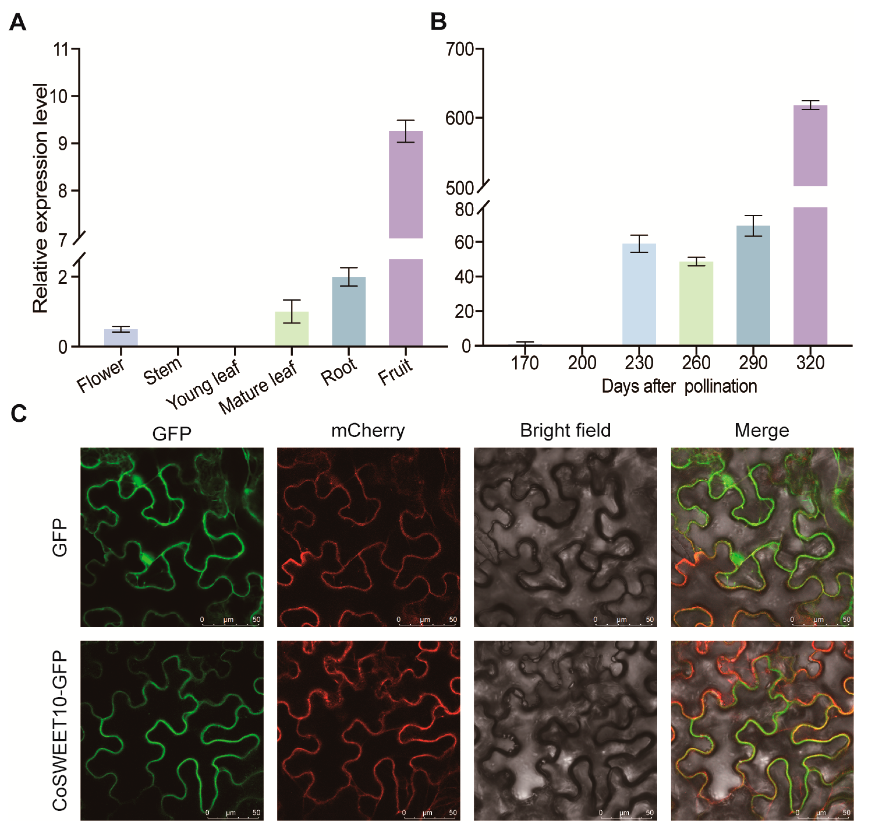 Plants 12 02818 g002