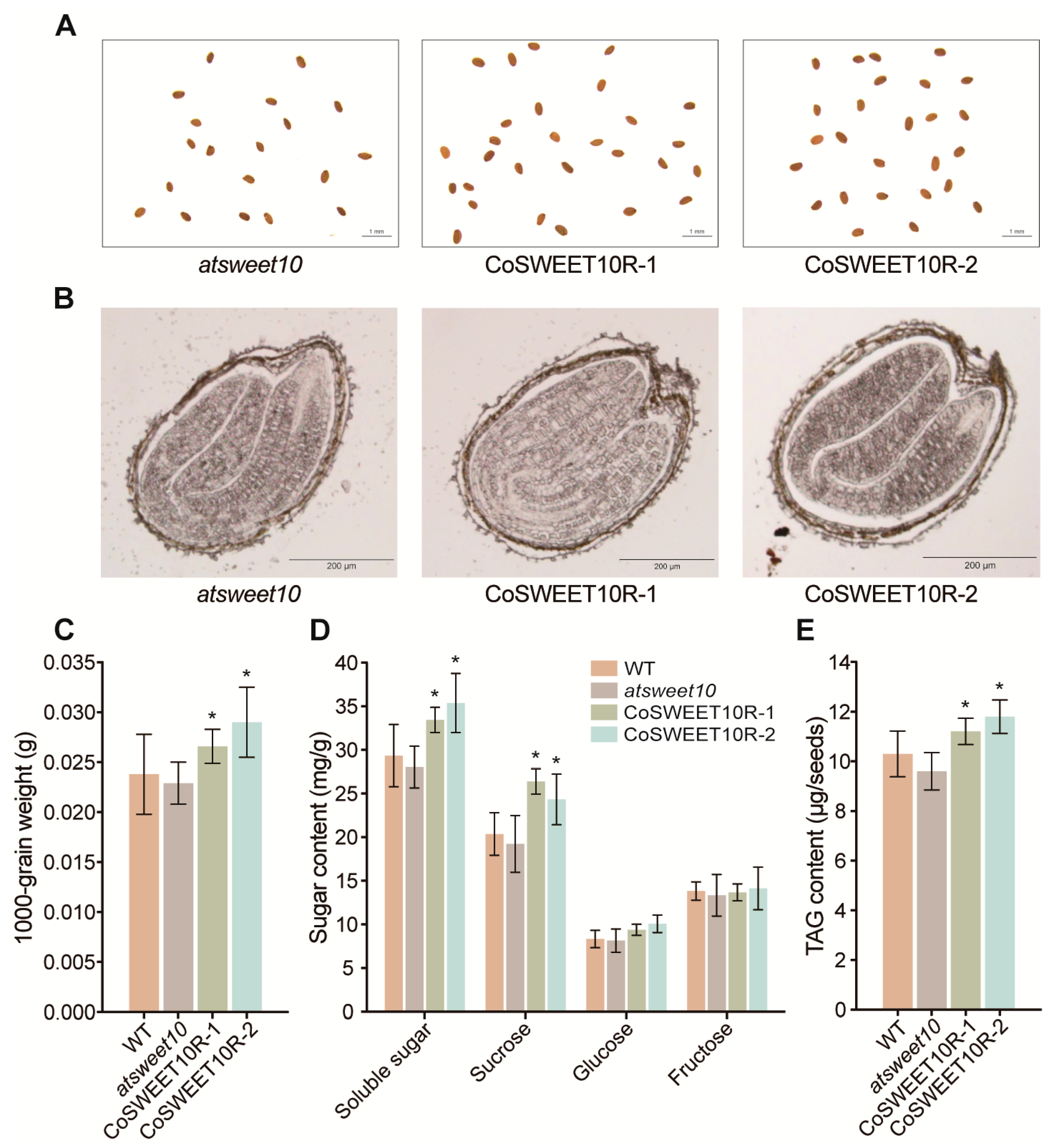 Plants 12 02818 g005
