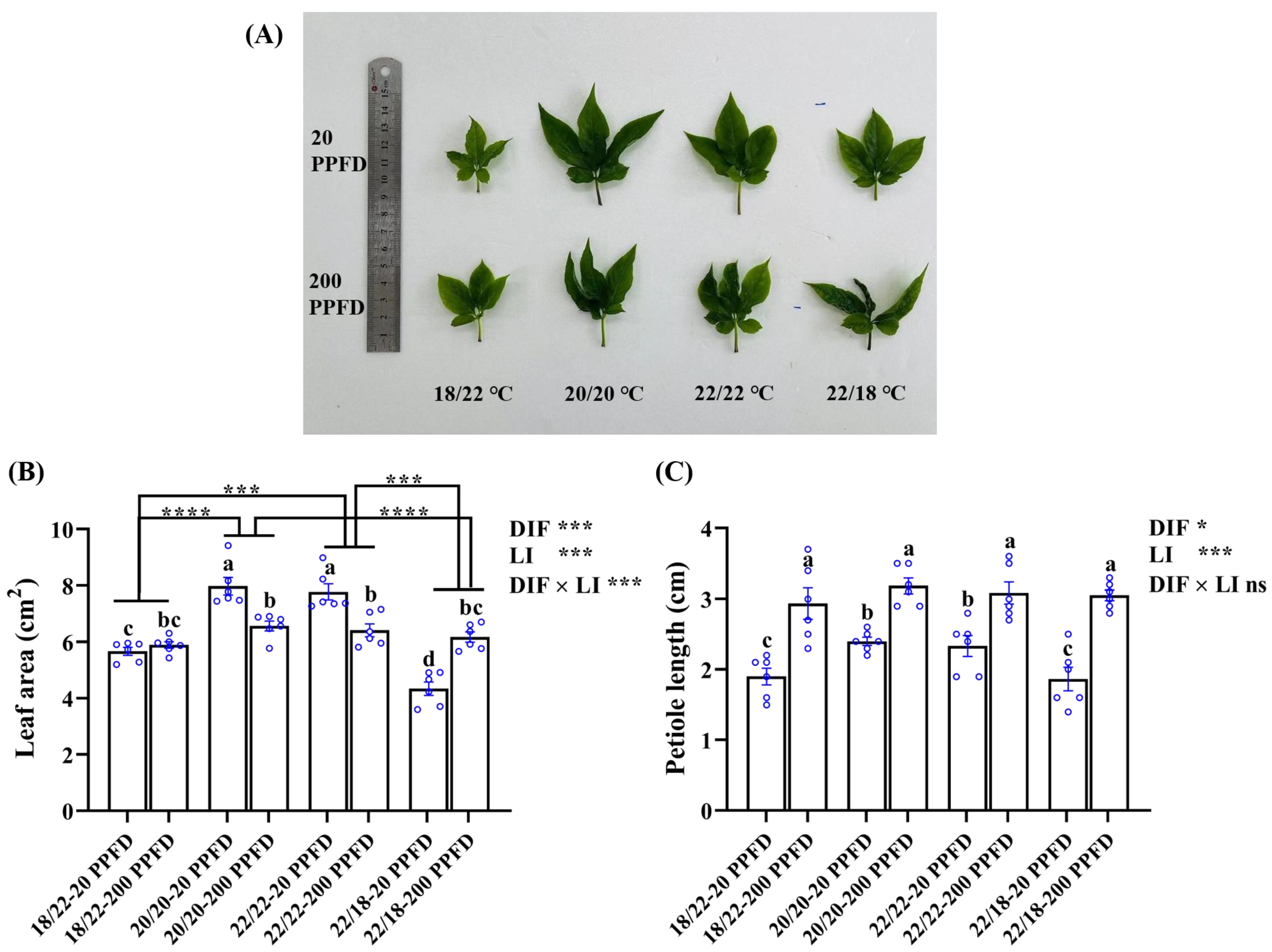 Plants 12 02820 g004