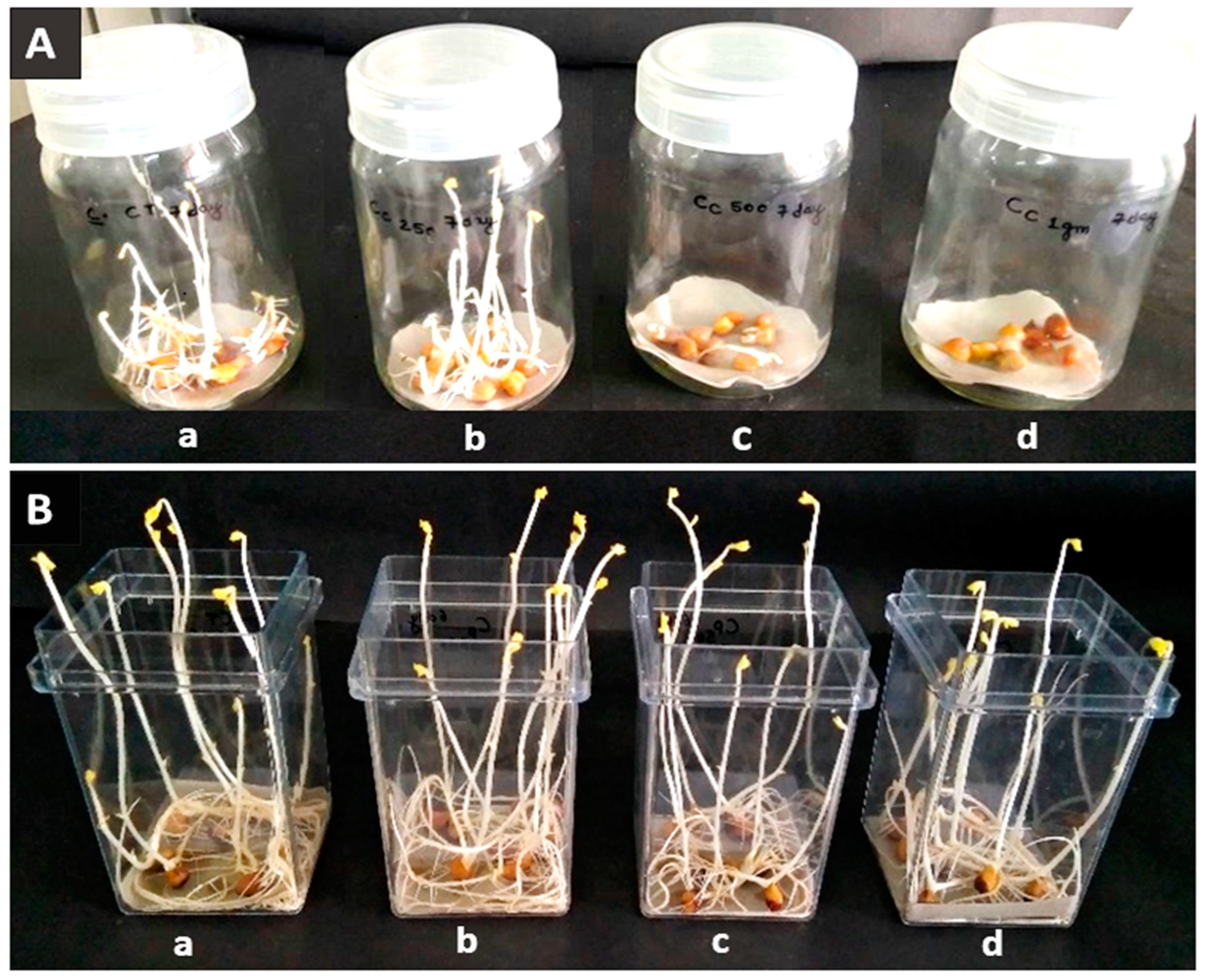 Plants 12 02823 g003