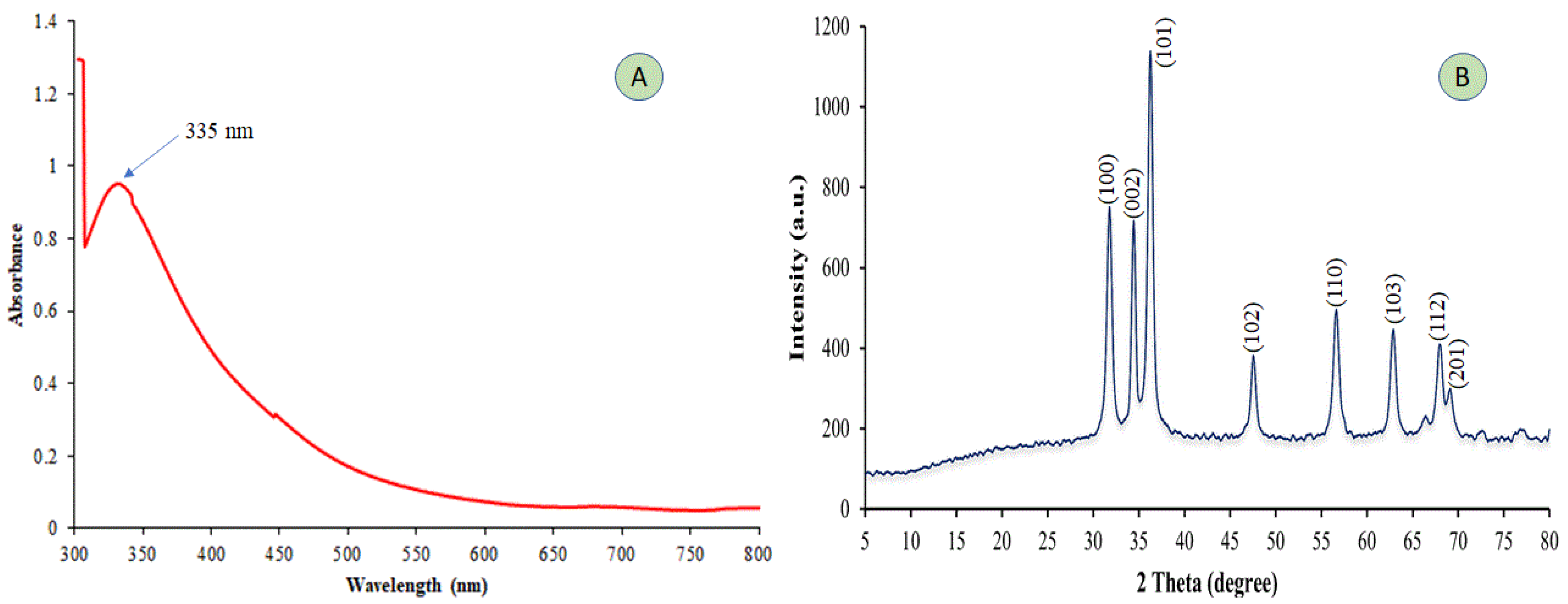 Plants 12 02826 g001