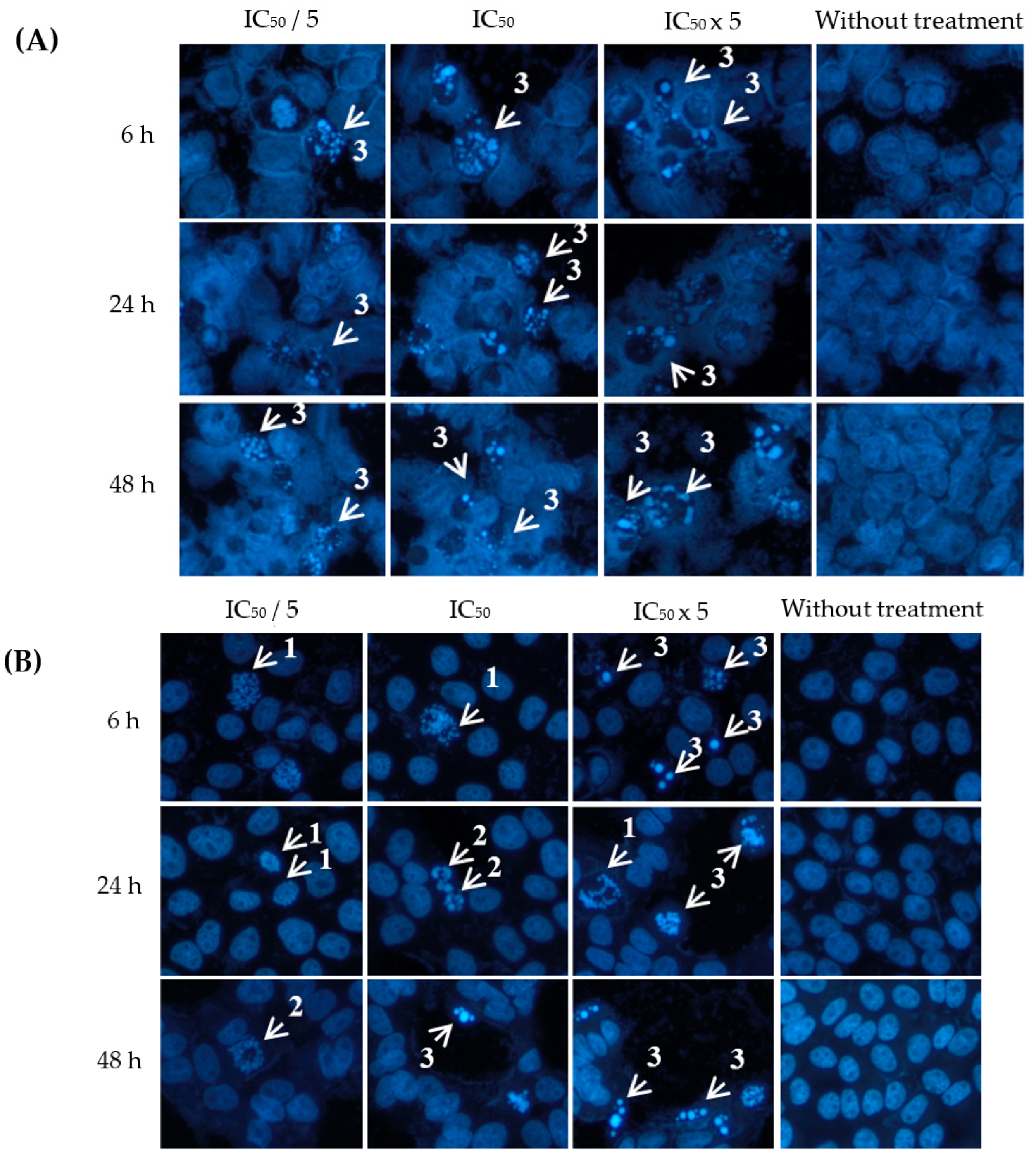 Plants 12 02827 g003a Plants 12 02827 g003a