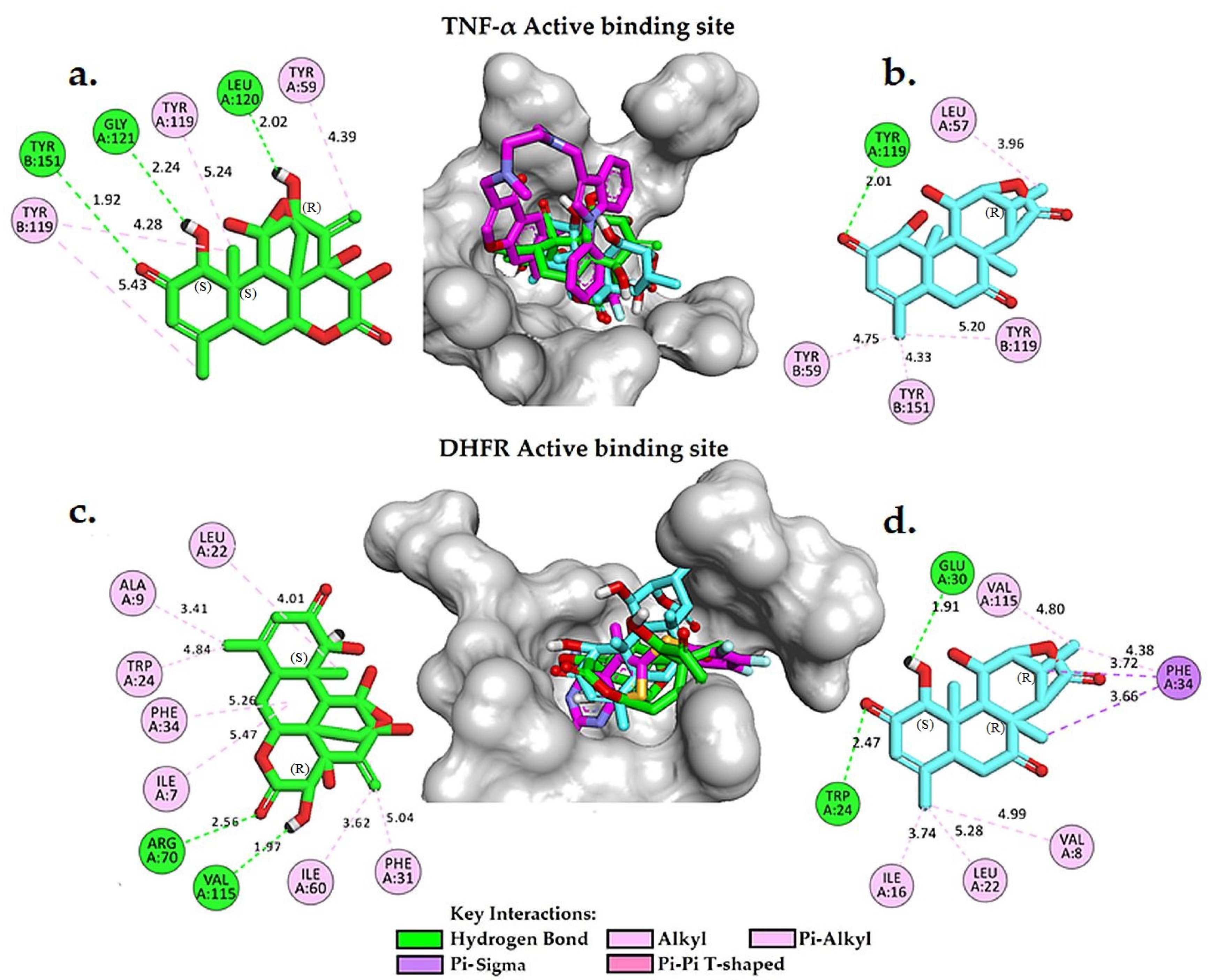 Plants 12 02827 g005 Plants 12 02827 g005