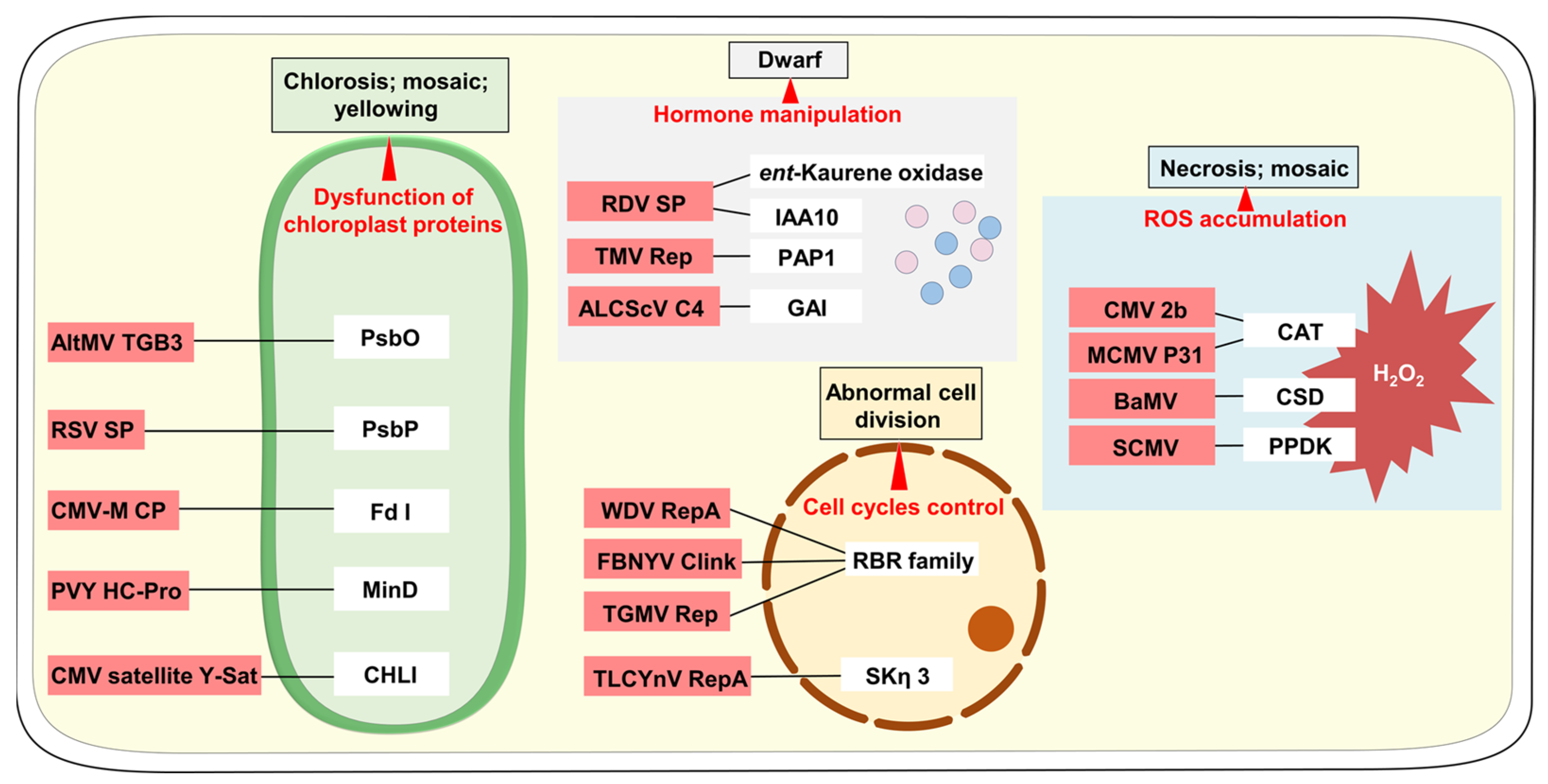 Plants 12 02830 g001 Plants 12 02830 g001