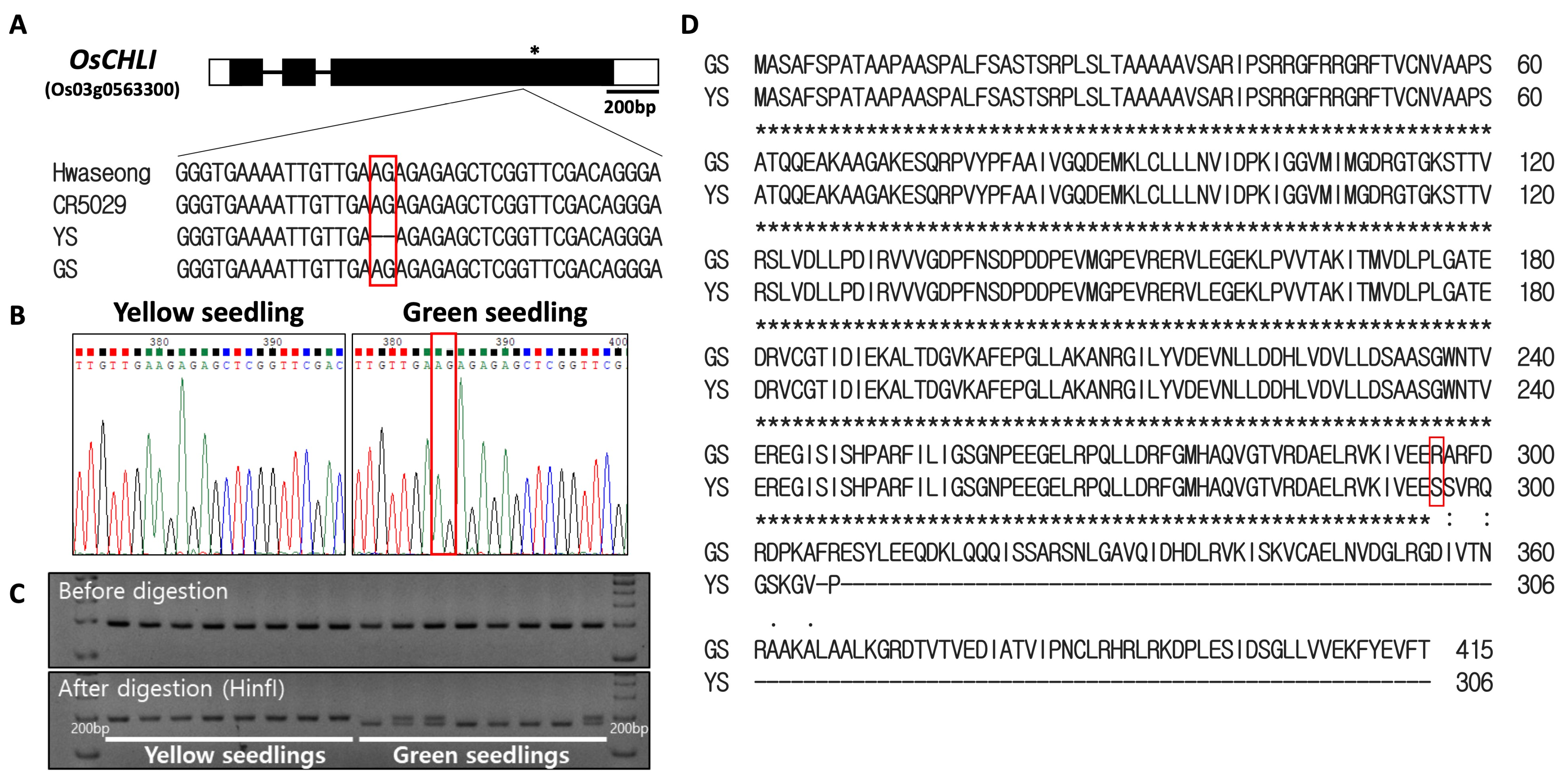 Plants 12 02831 g005 Plants 12 02831 g005