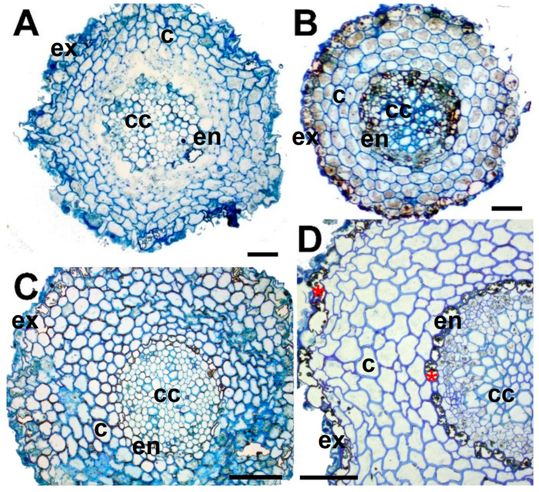 Plants 12 02834 g001