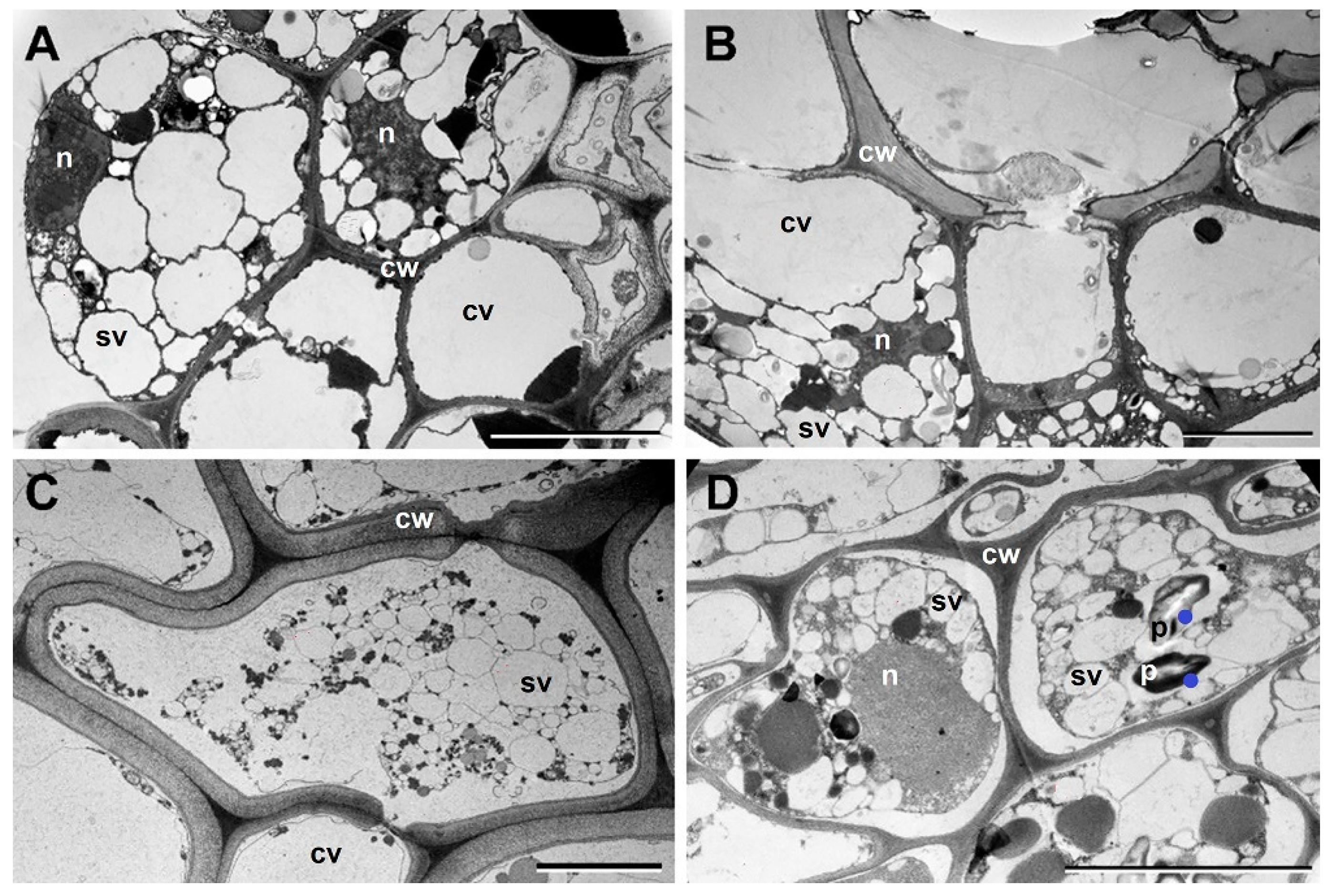Plants 12 02834 g002