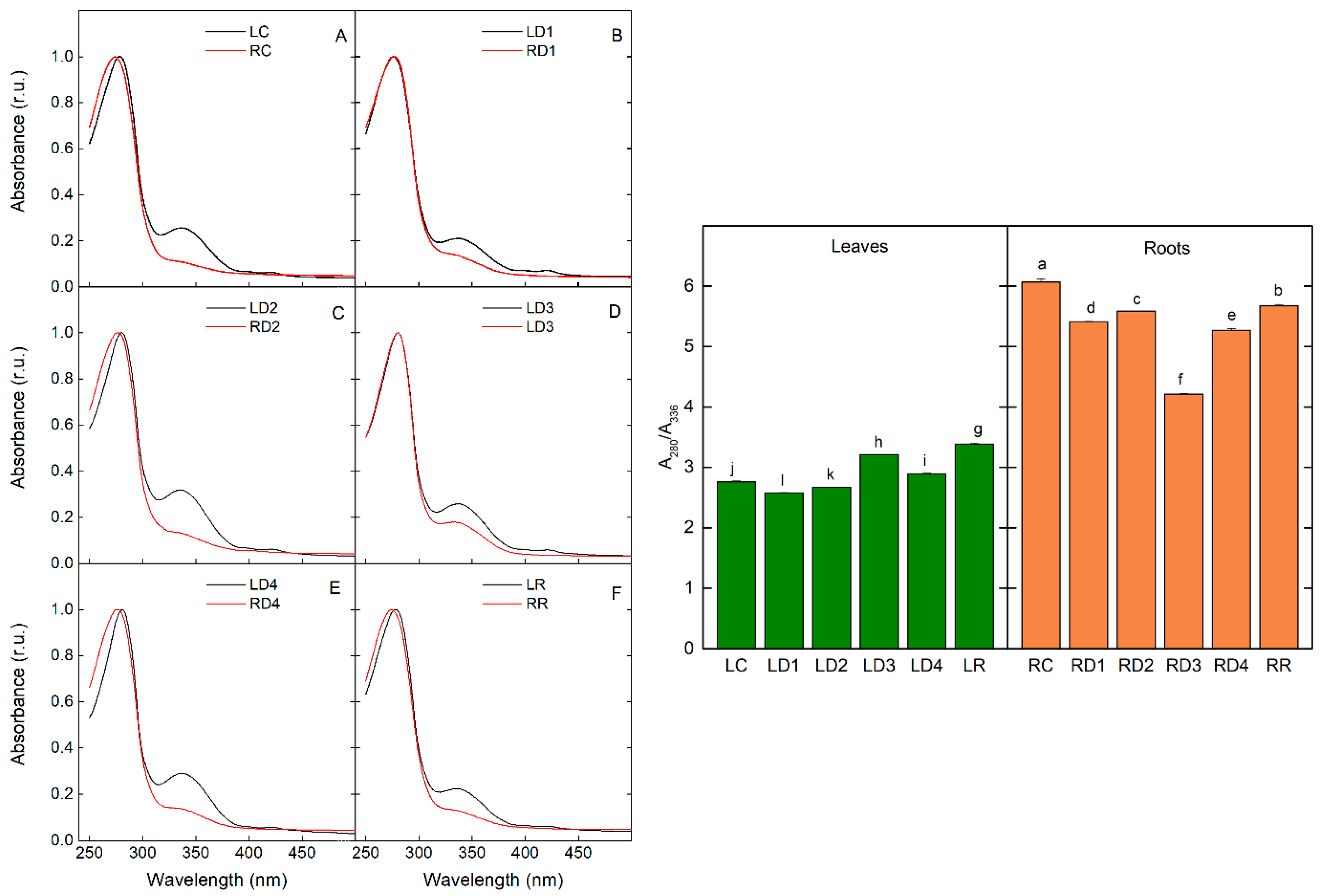 Plants 12 02834 g006