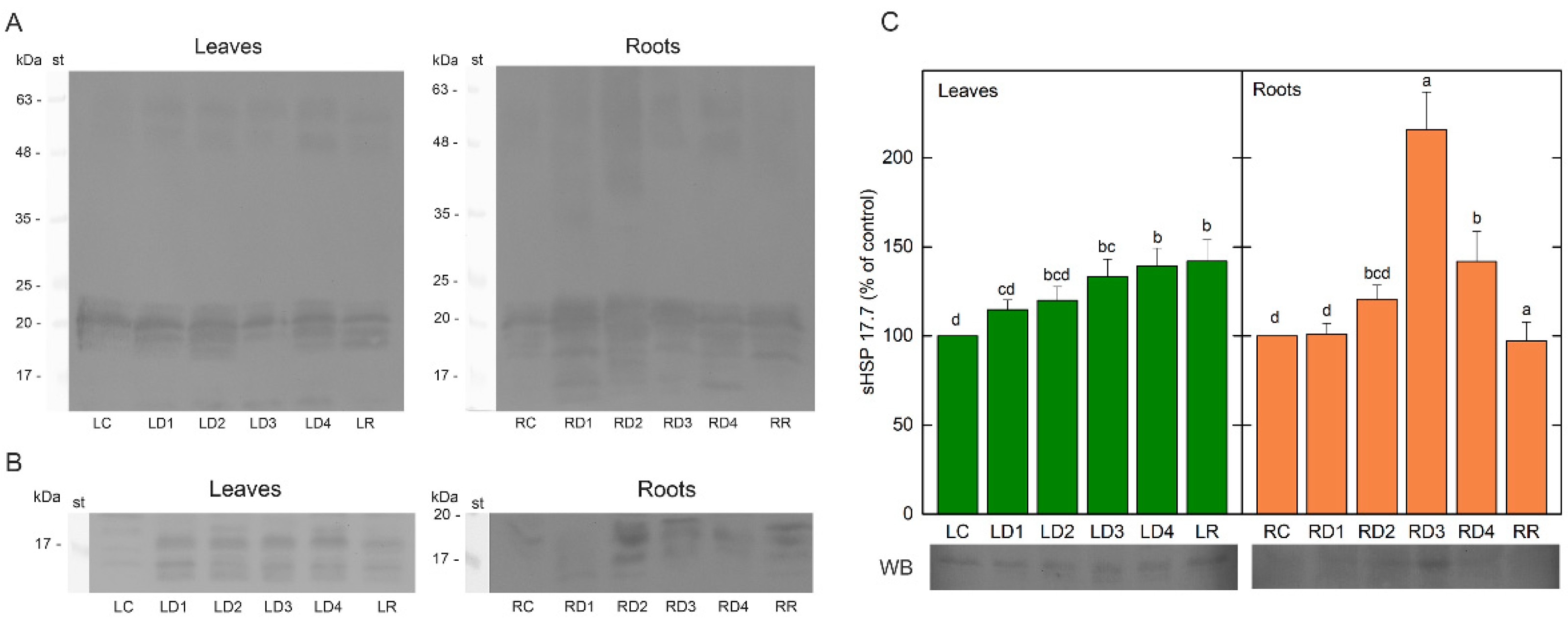 Plants 12 02834 g008