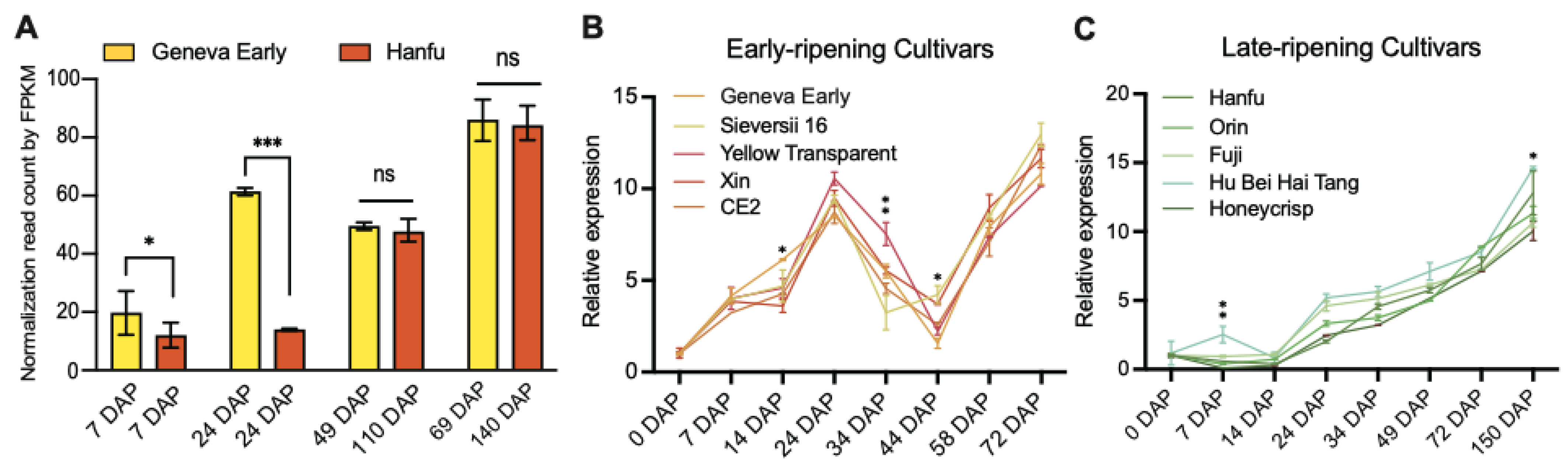Plants 12 02848 g001