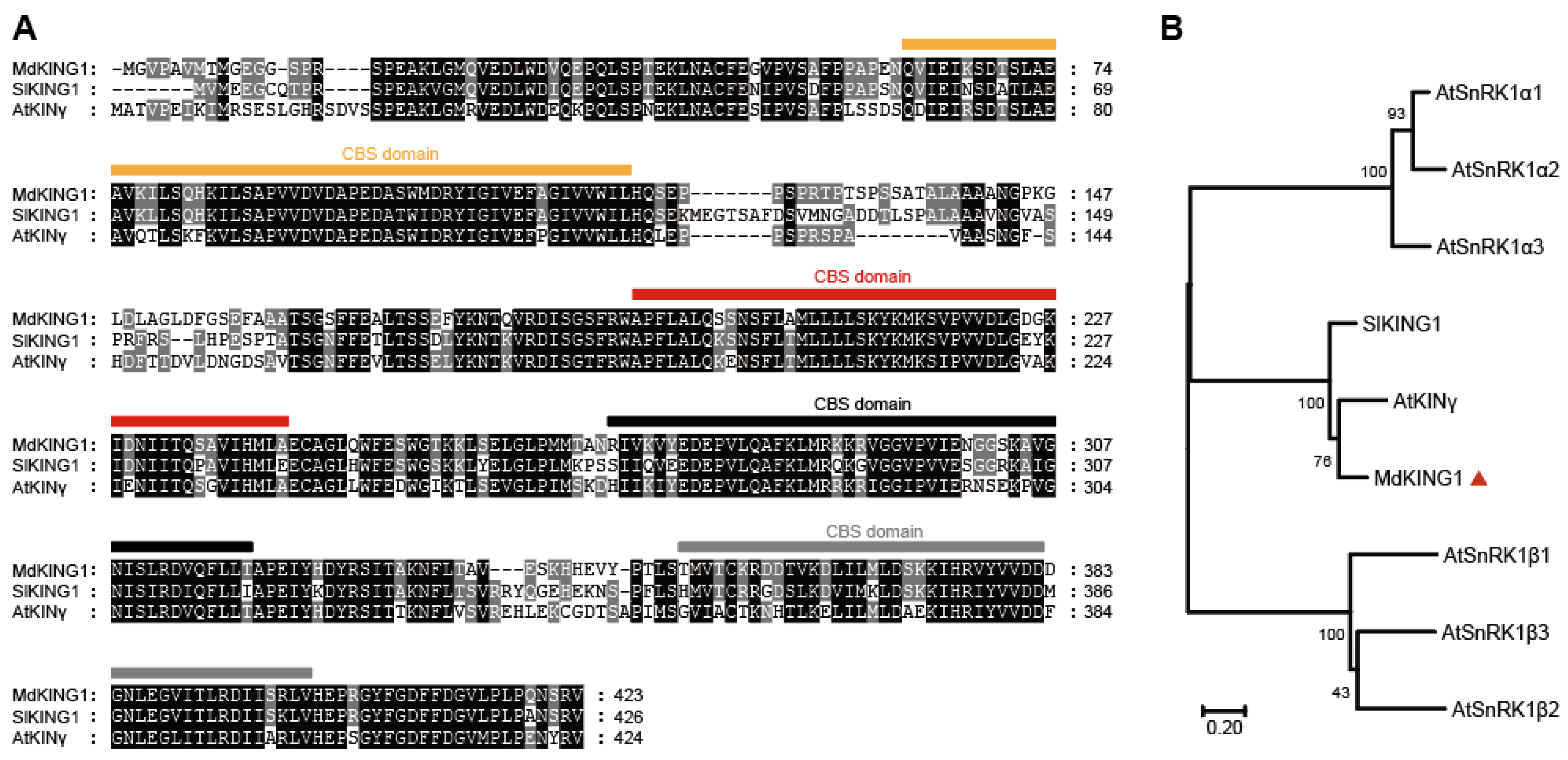 Plants 12 02848 g002