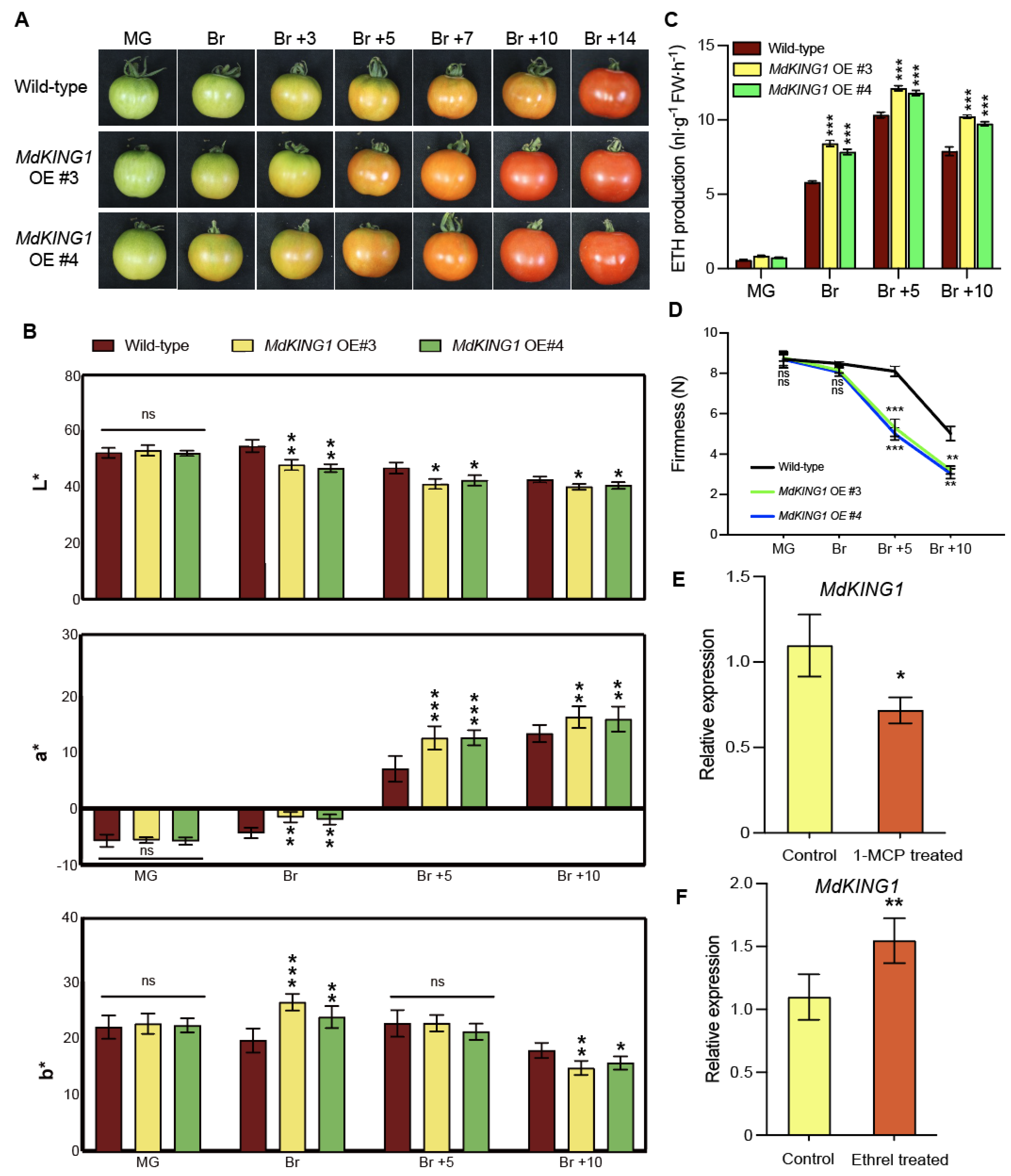 Plants 12 02848 g003