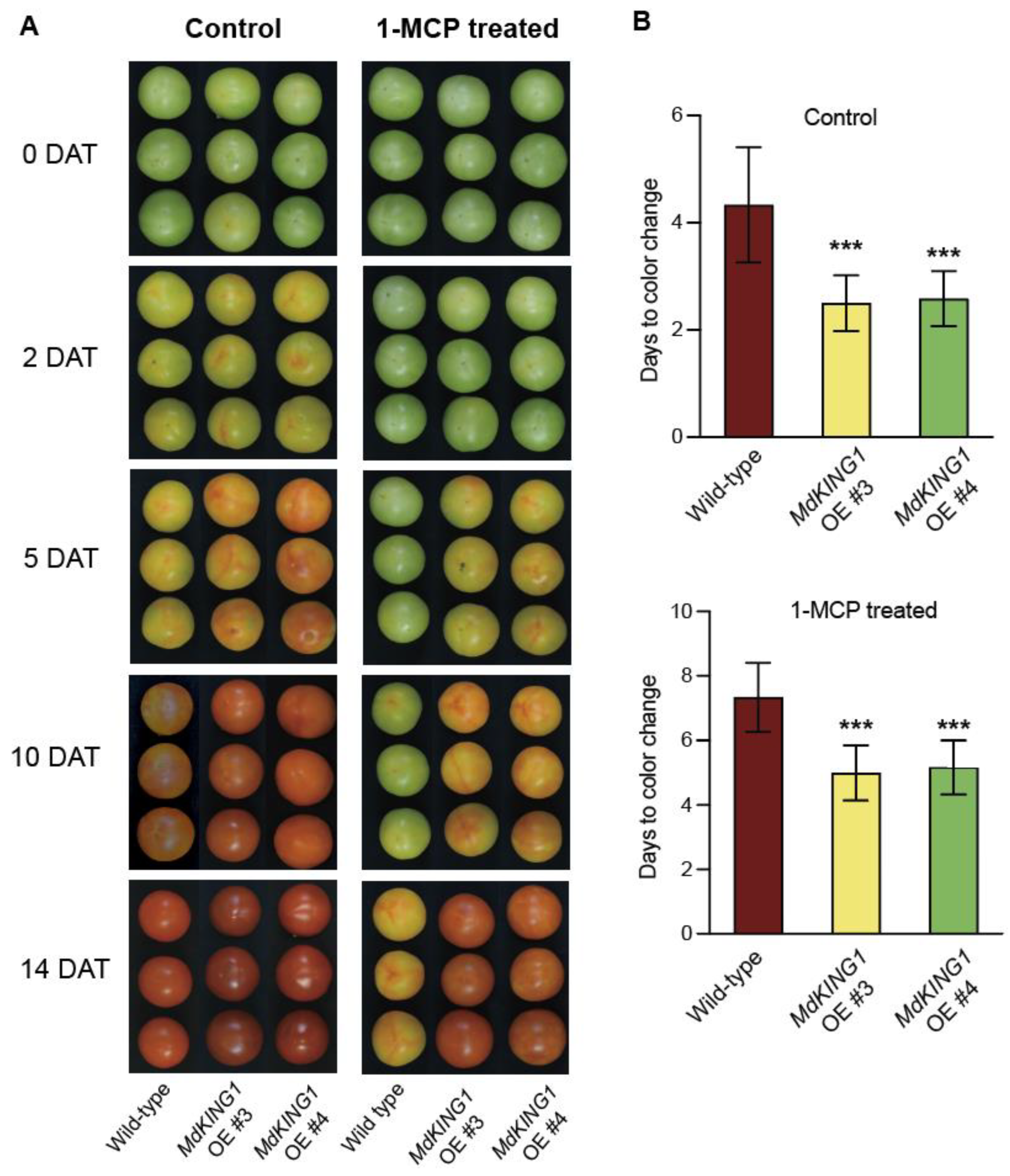 Plants 12 02848 g004