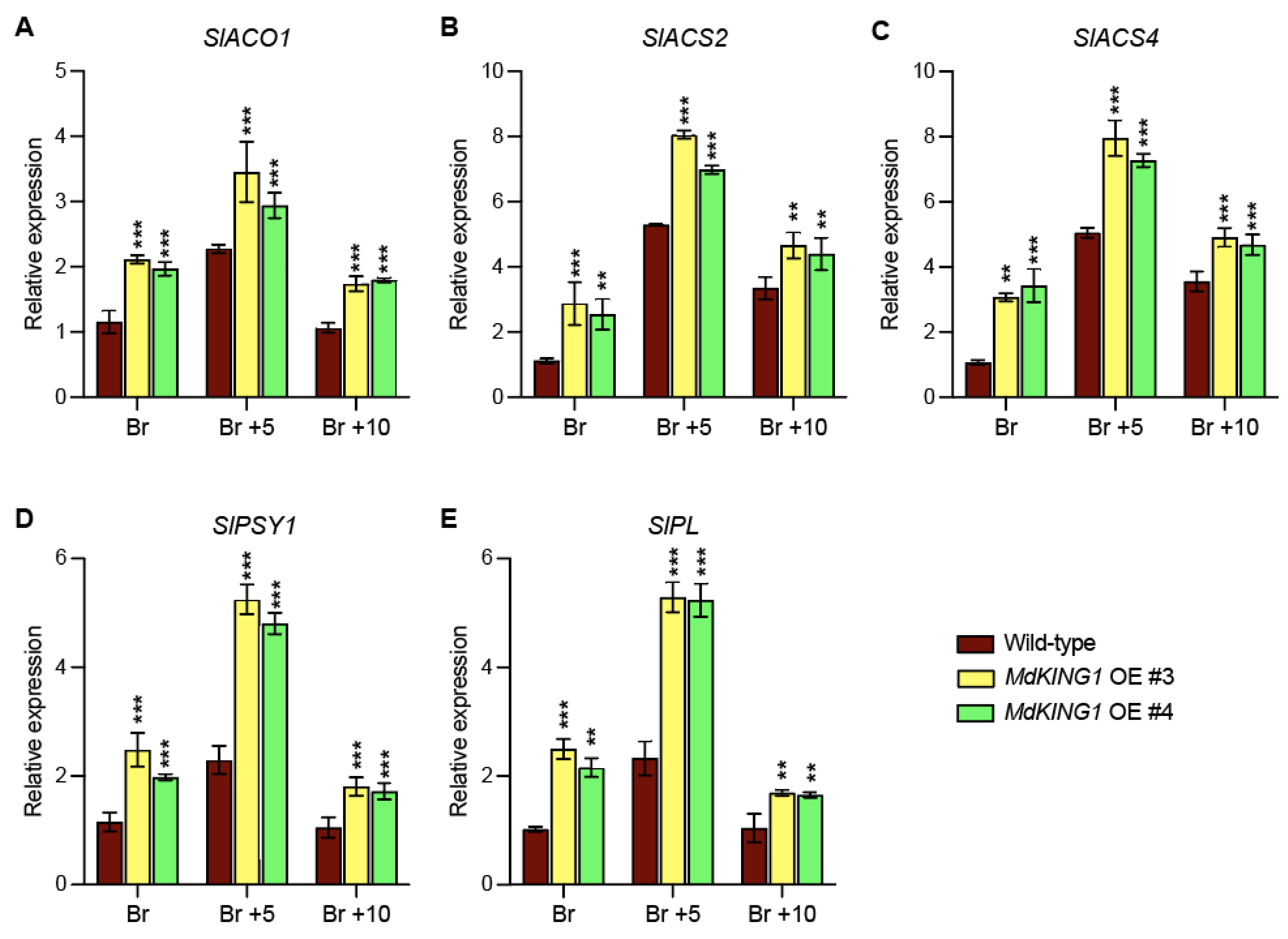 Plants 12 02848 g007